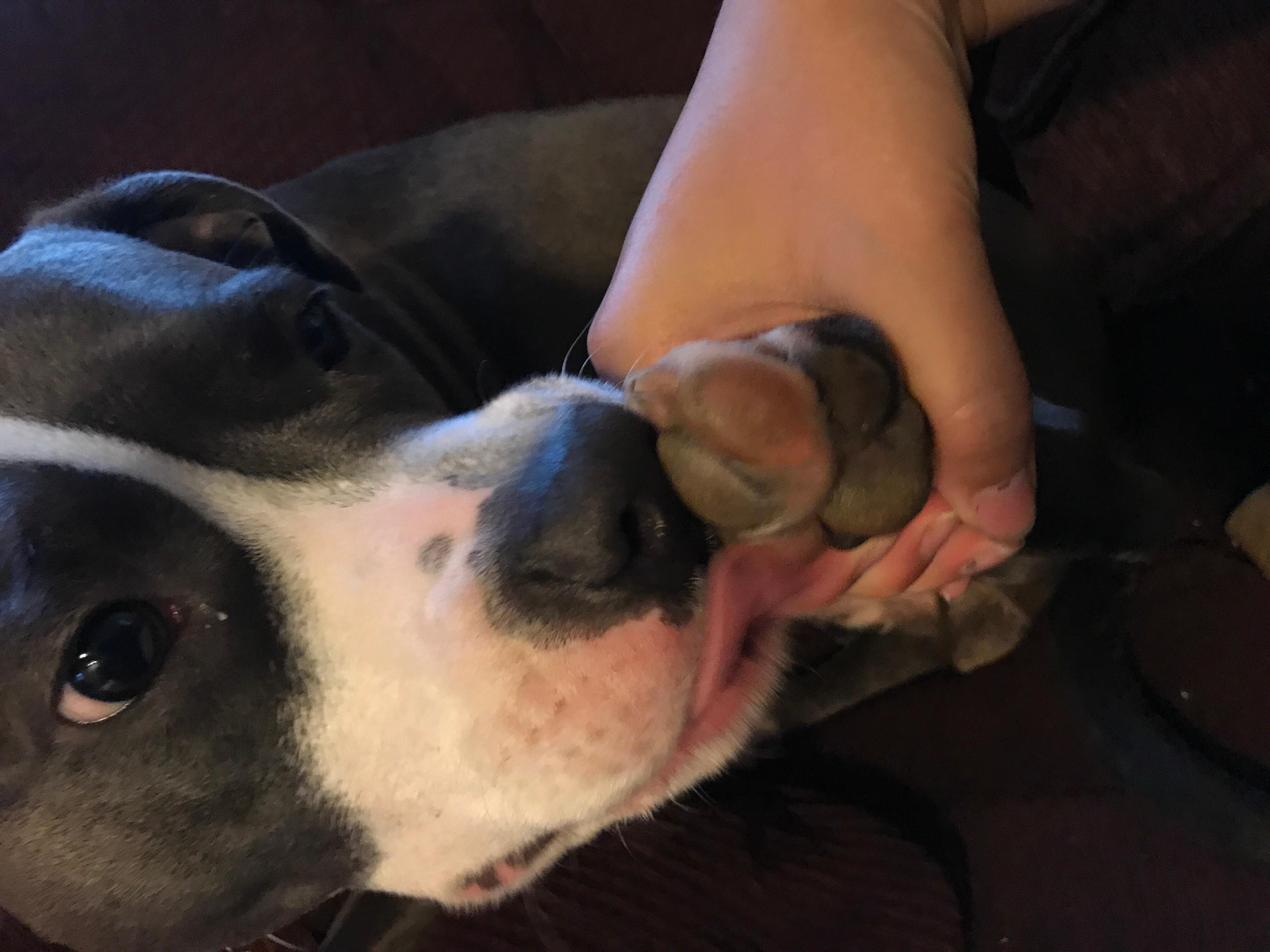 Question details sensitive content