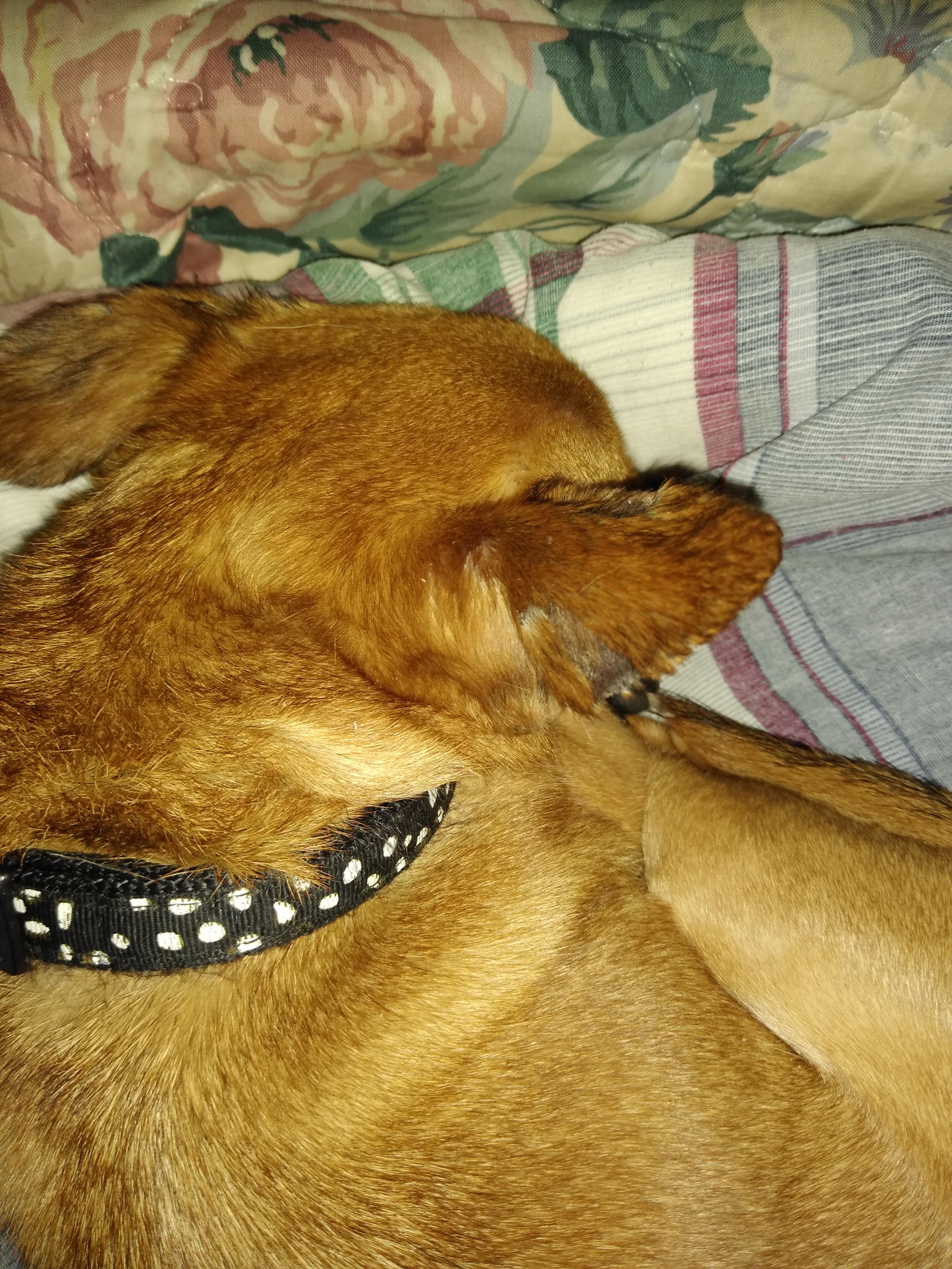 Question details sensitive content