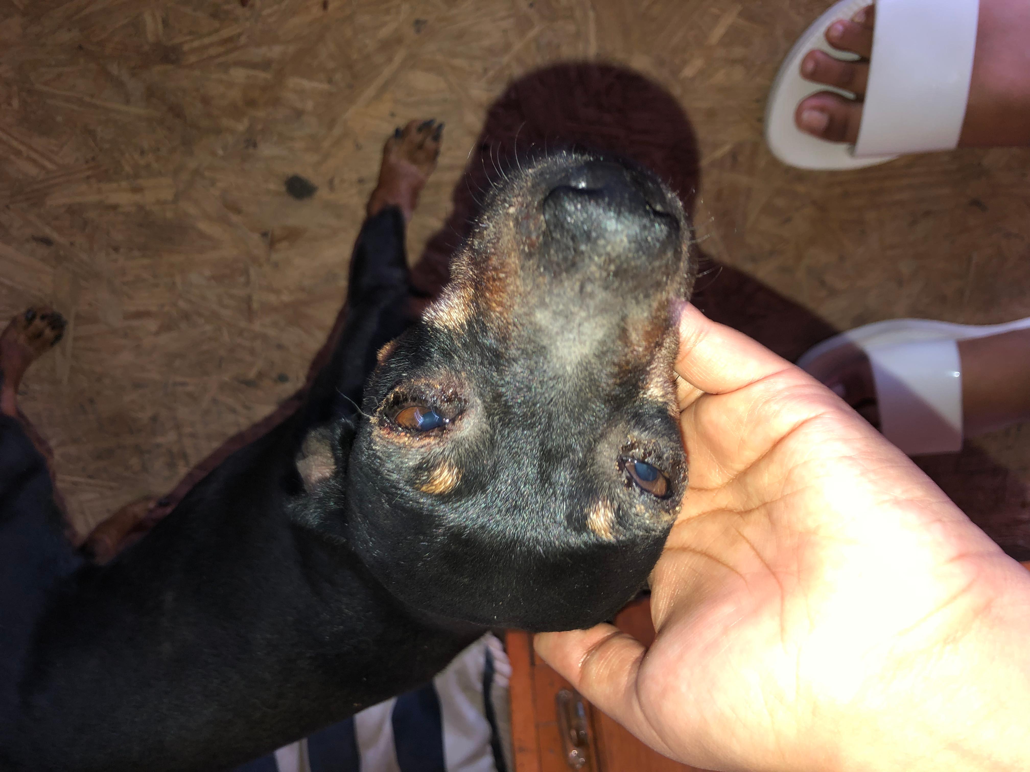 Question details sensitive content