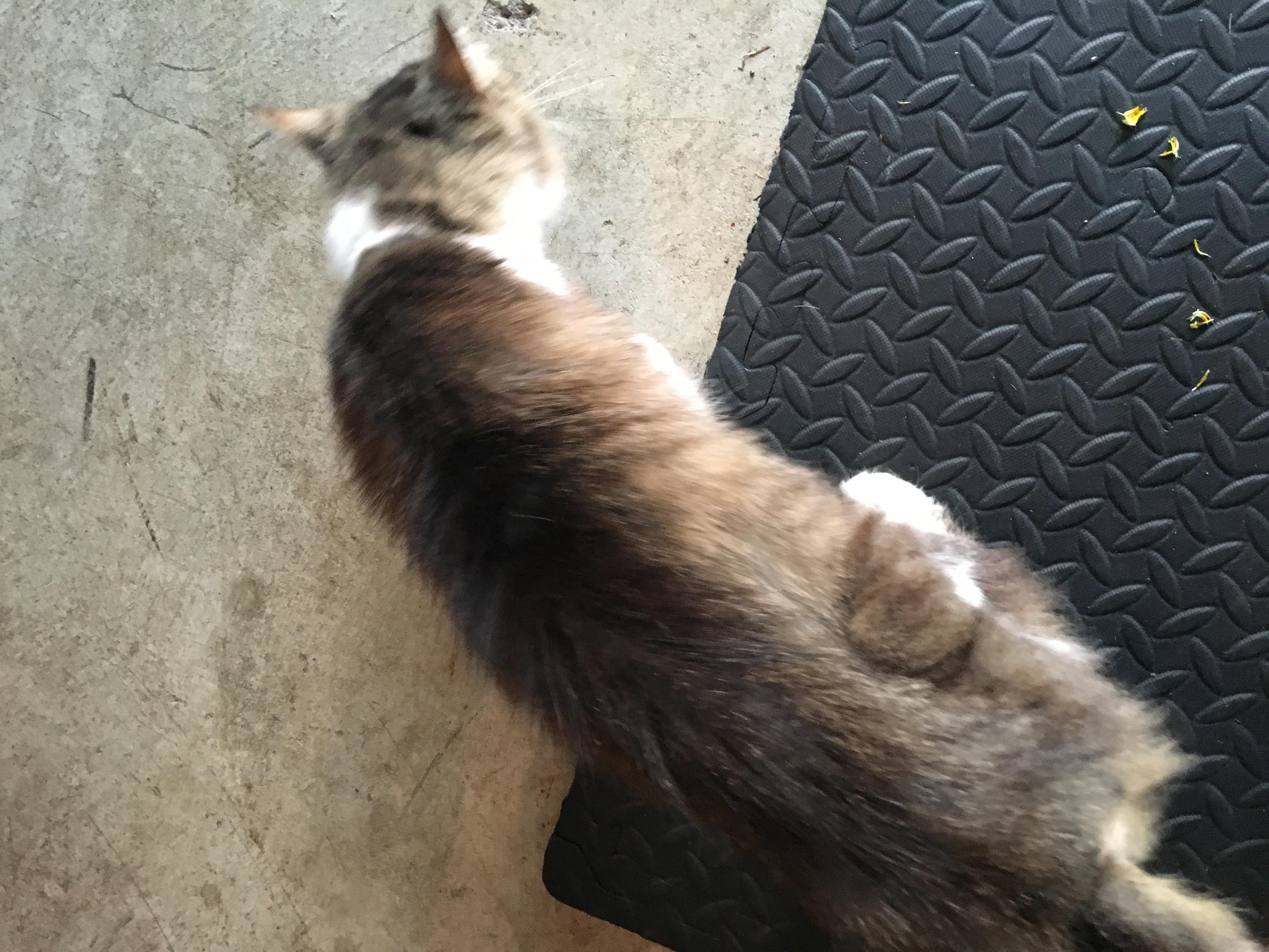 Question details sensitive content