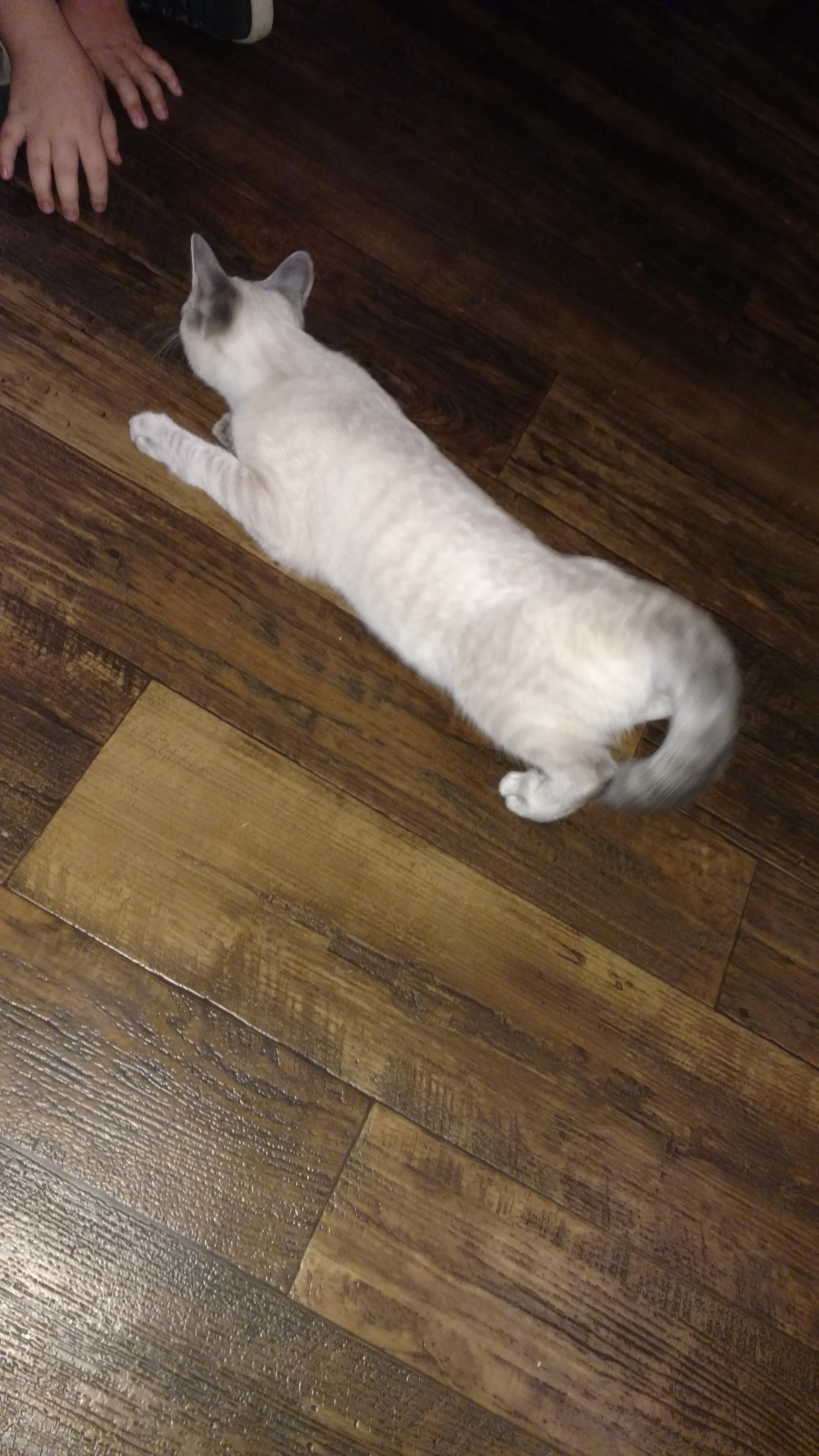 Question details sensitive content