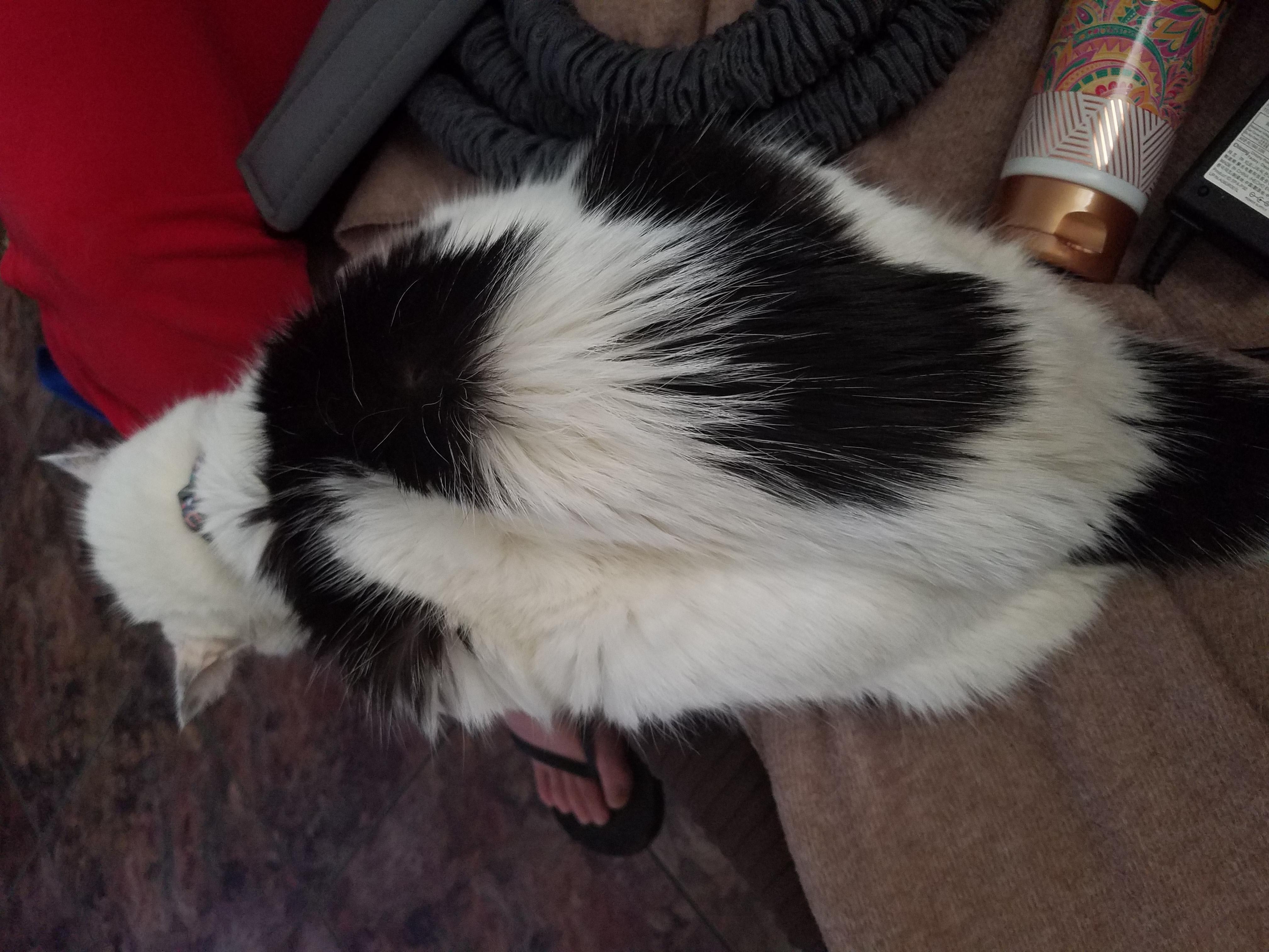 Question details sensitive content