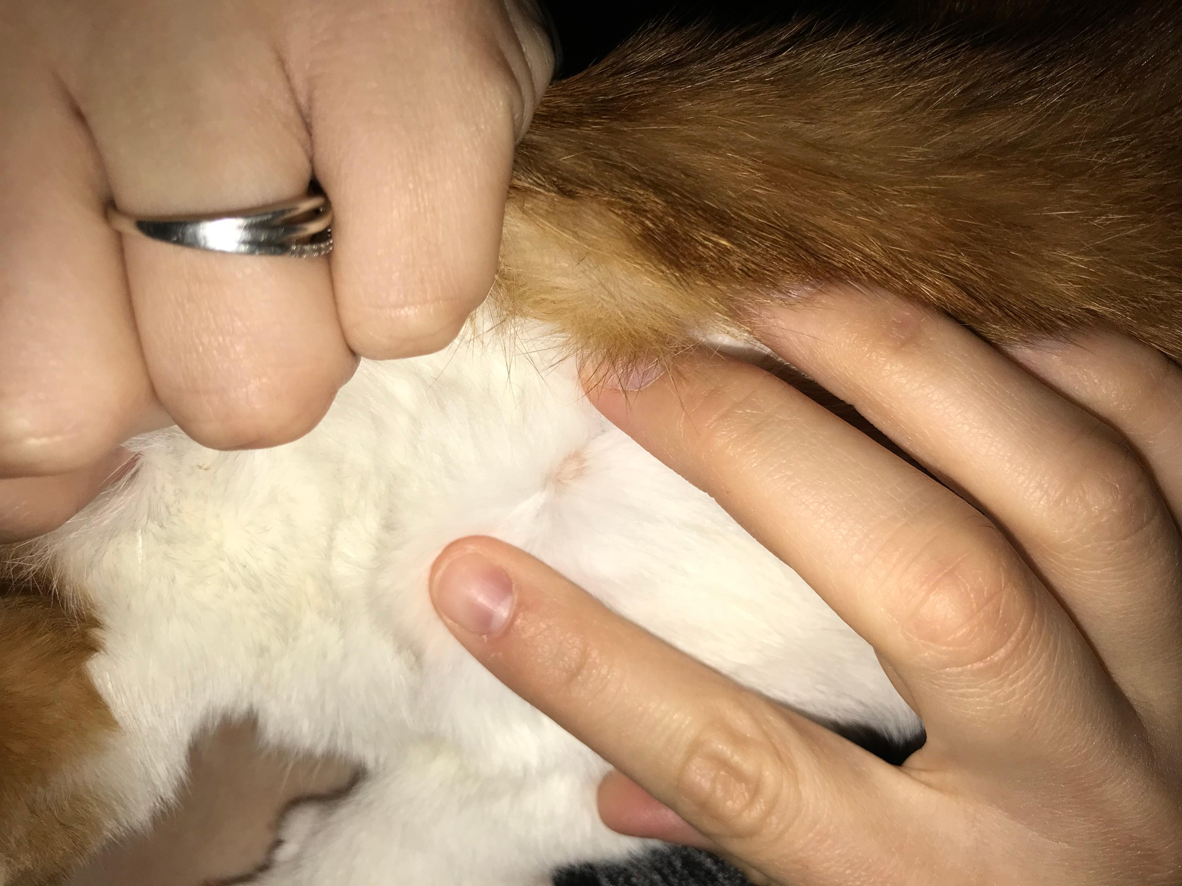 Question details sensitive content