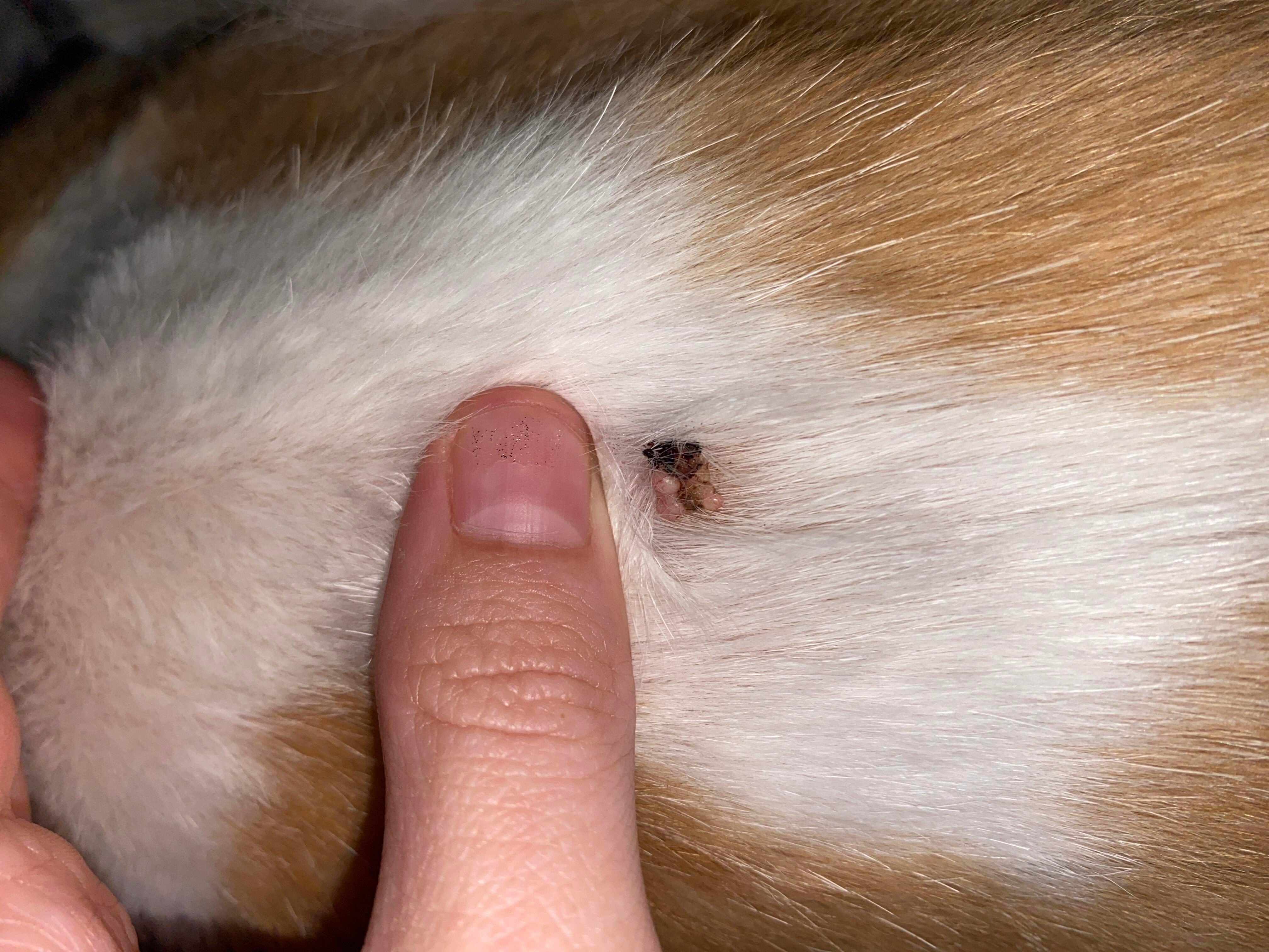 Question details sensitive content