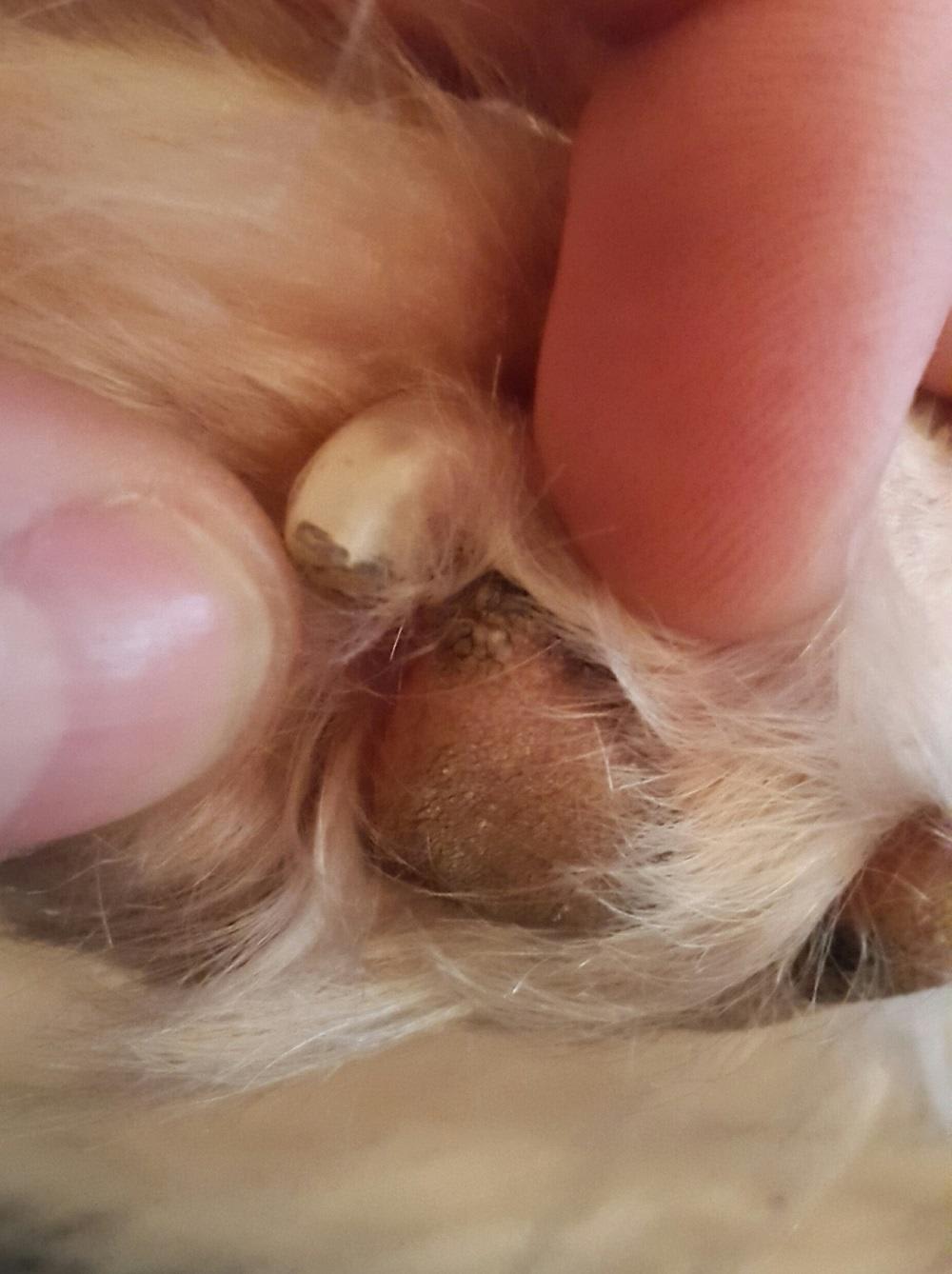 Question details sensitive content