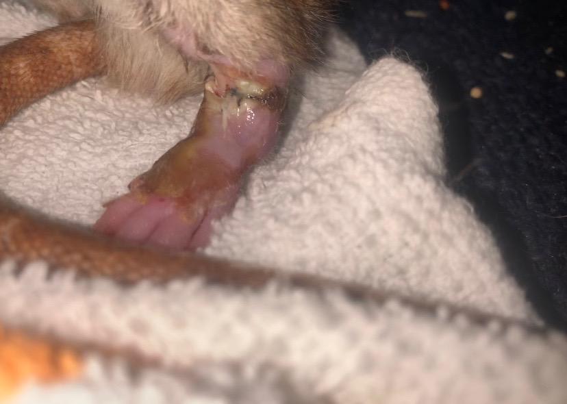 Question details sensitive content