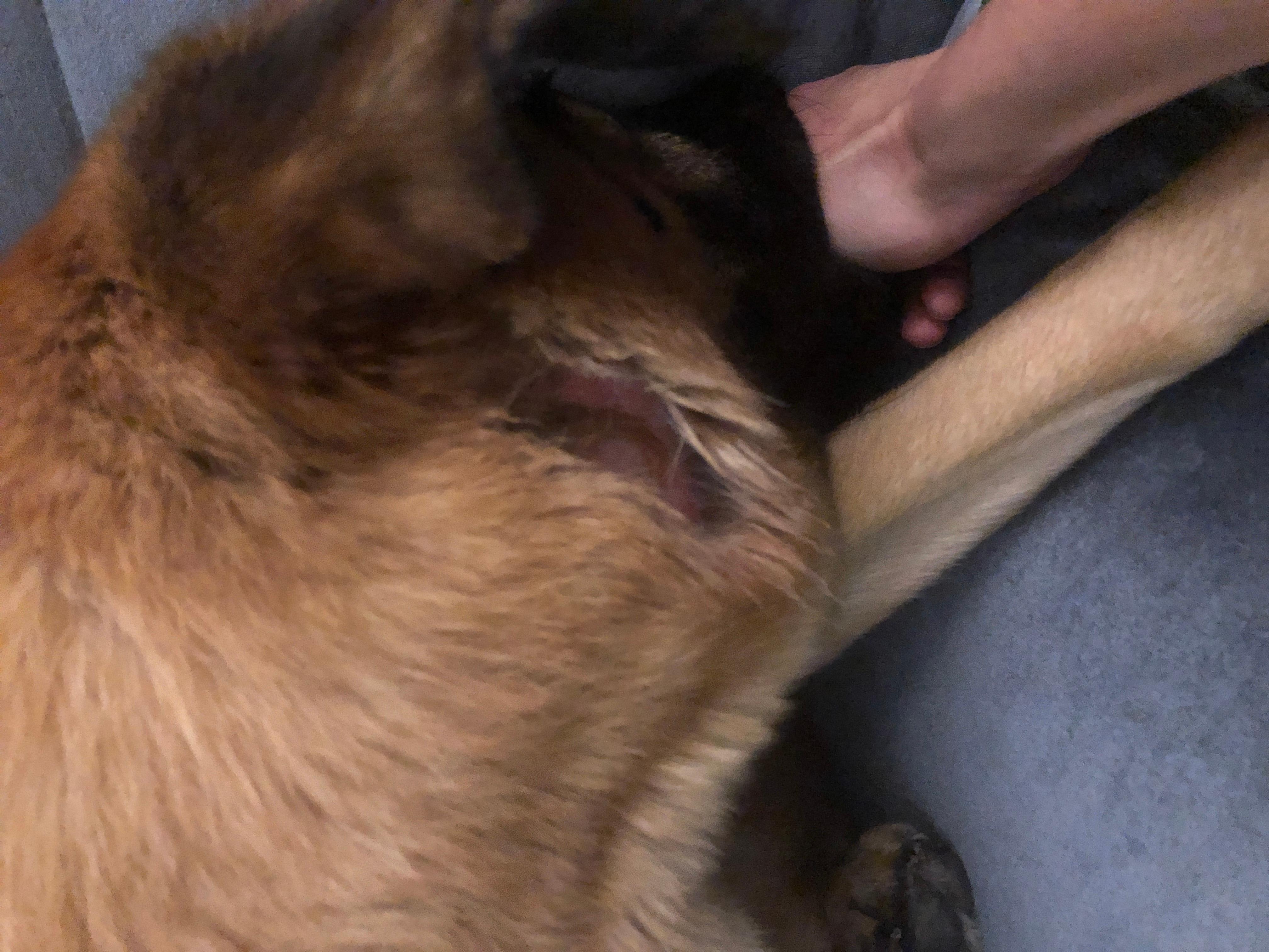 Question details sensitive content