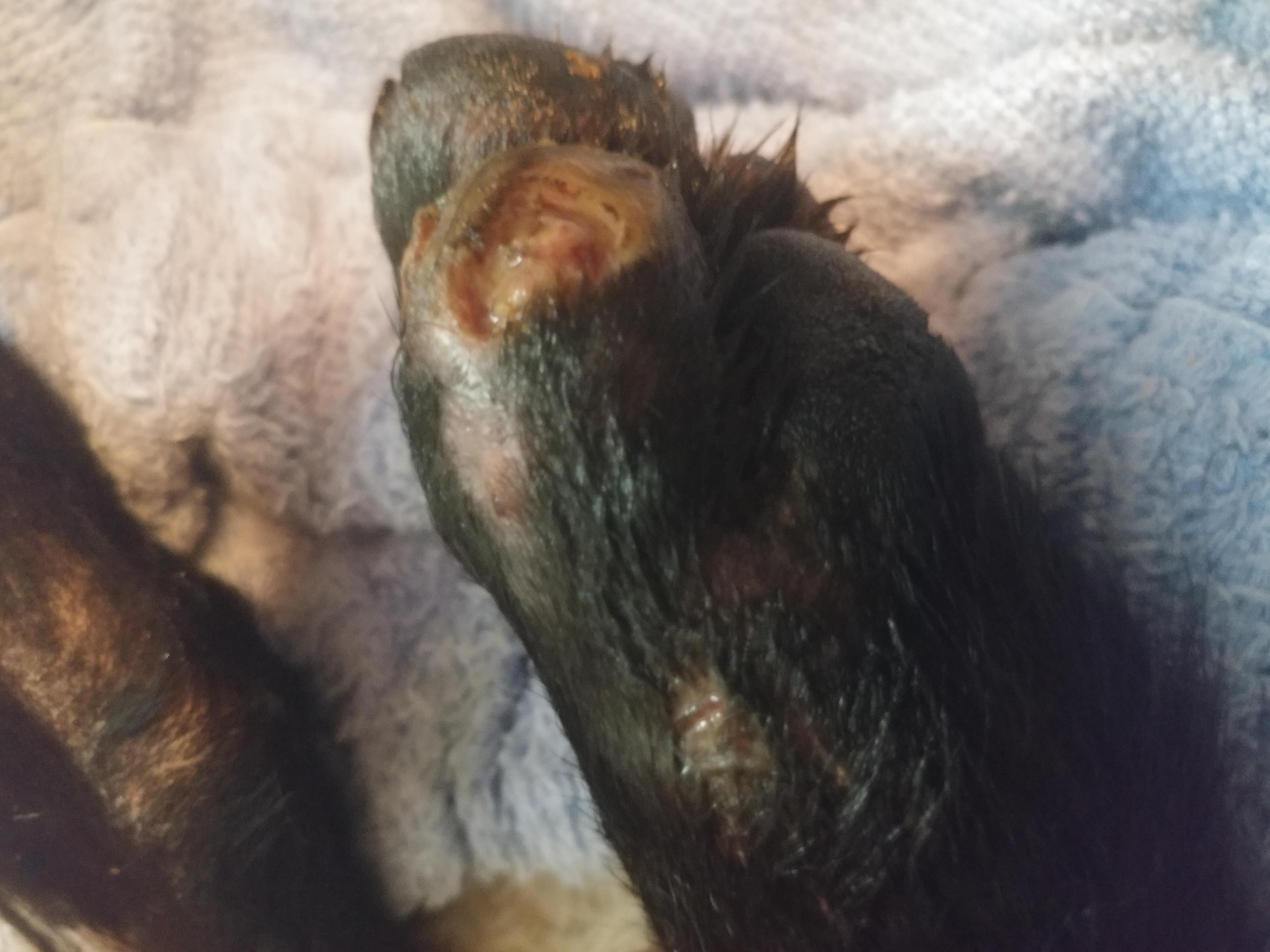 Question details sensitive content