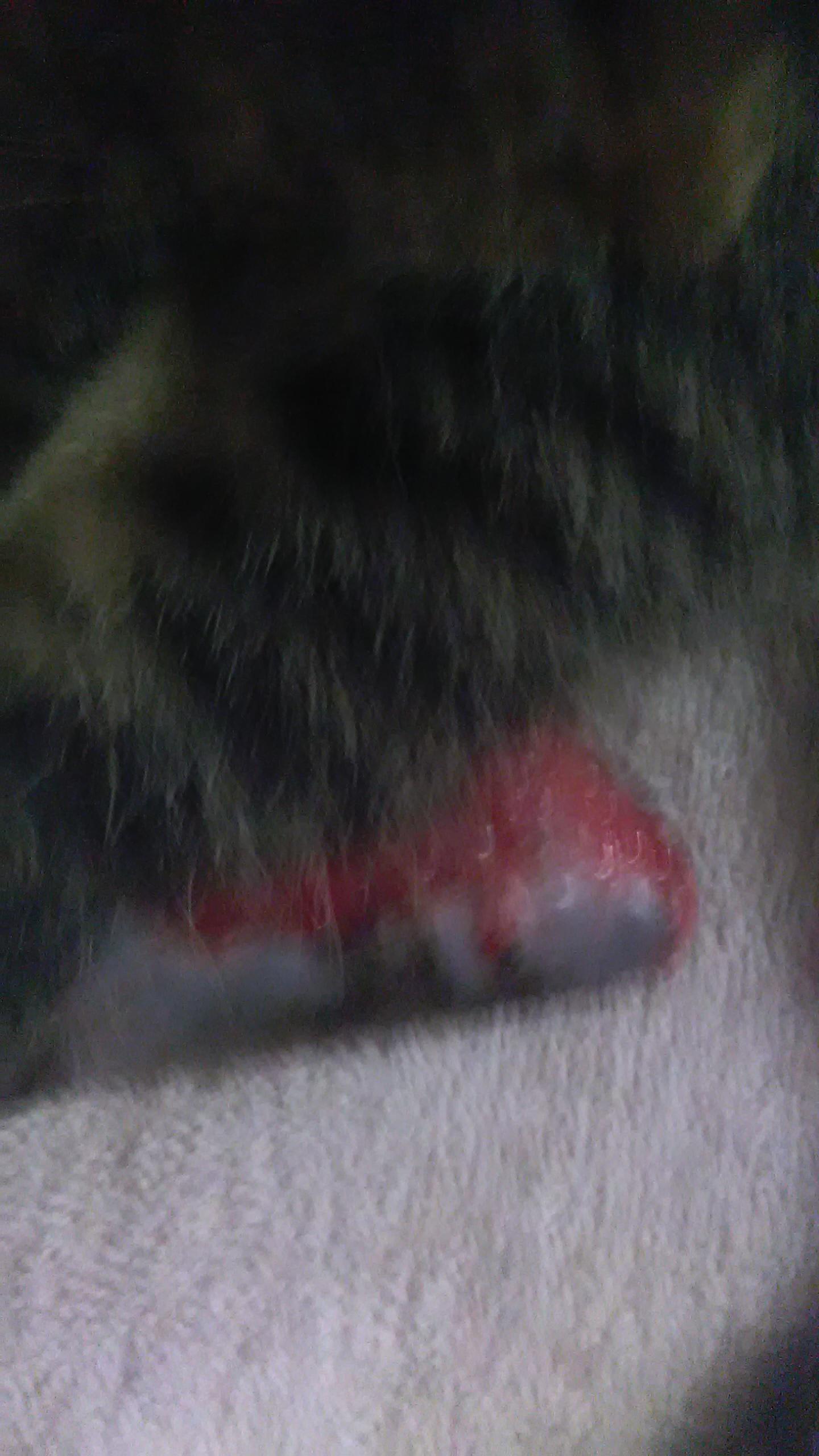 Question details sensitive content