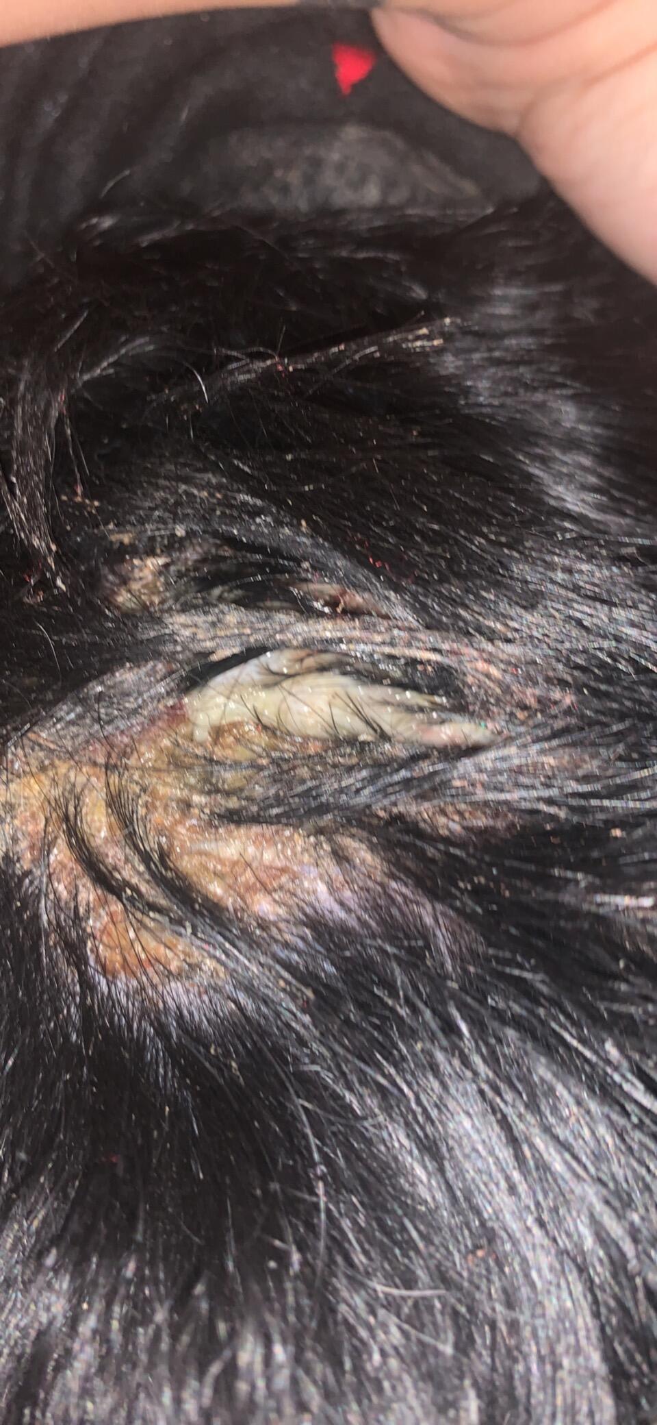 Question details sensitive content