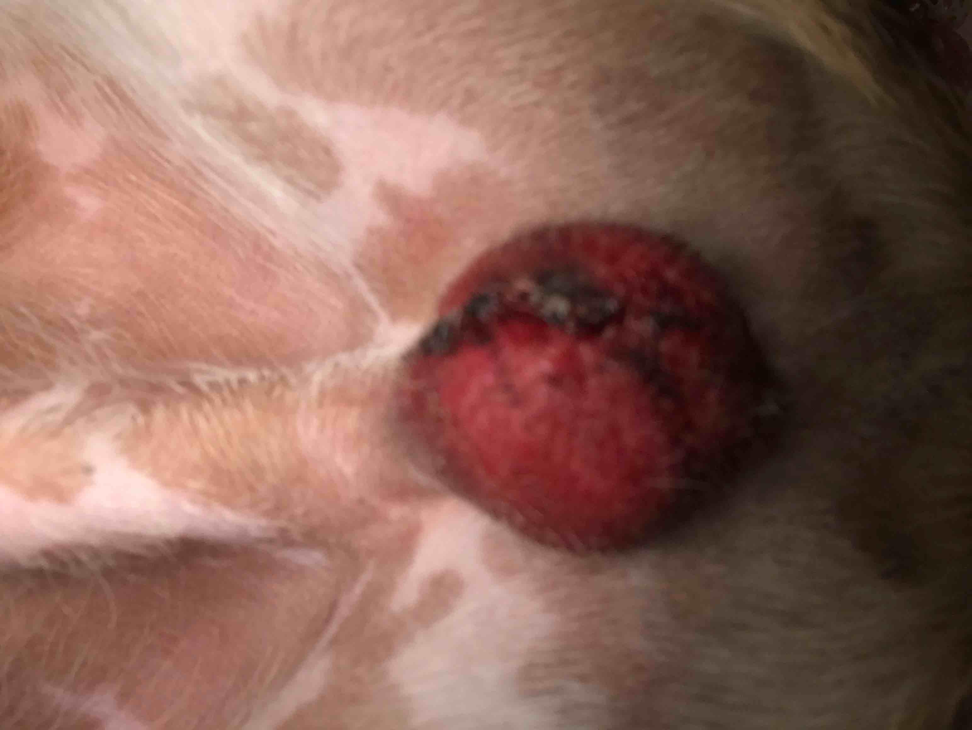 Question details sensitive content