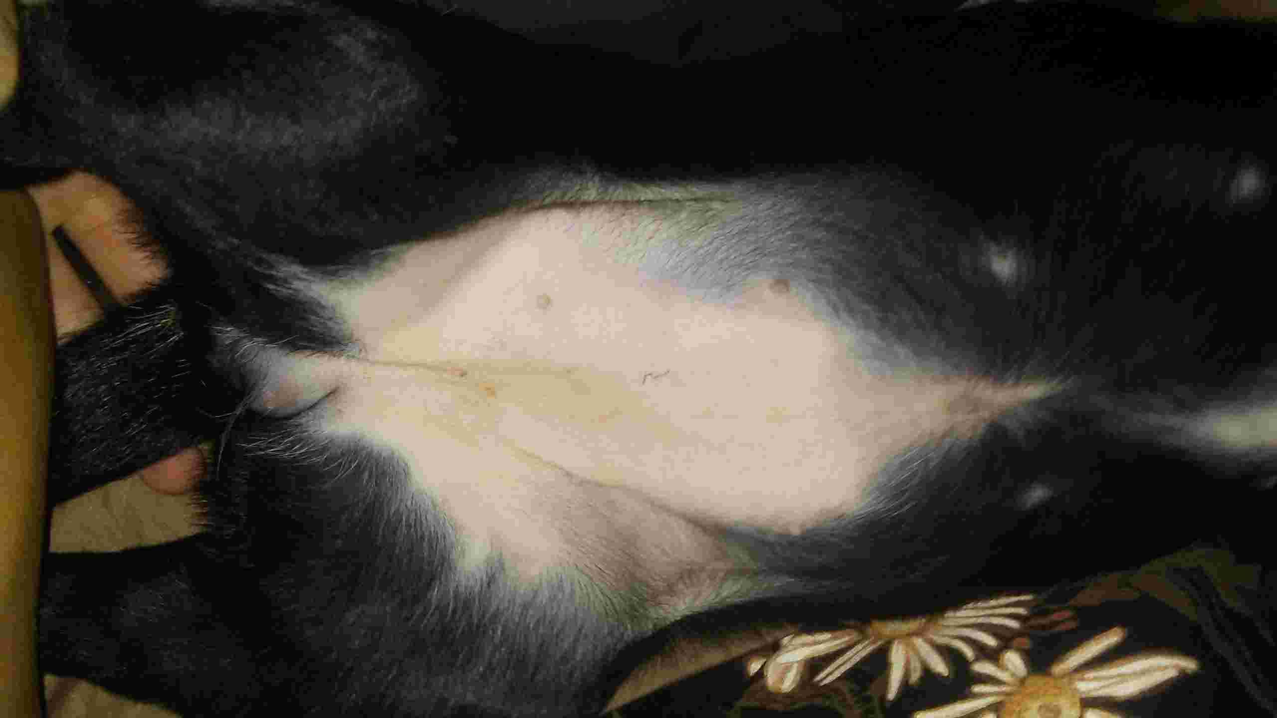 Question details sensitive content