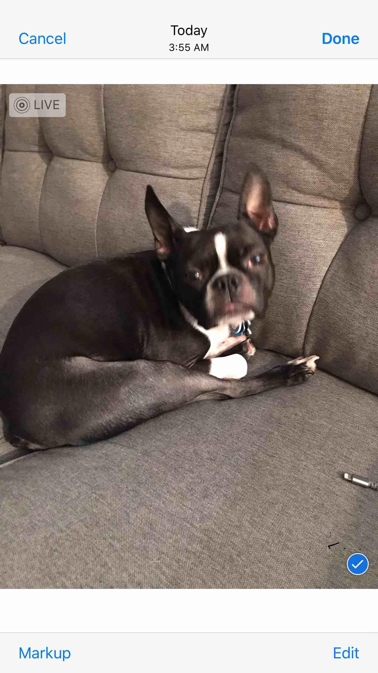 Question details sensitive content