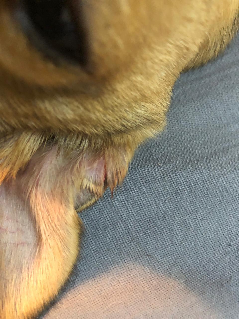 Question details sensitive content