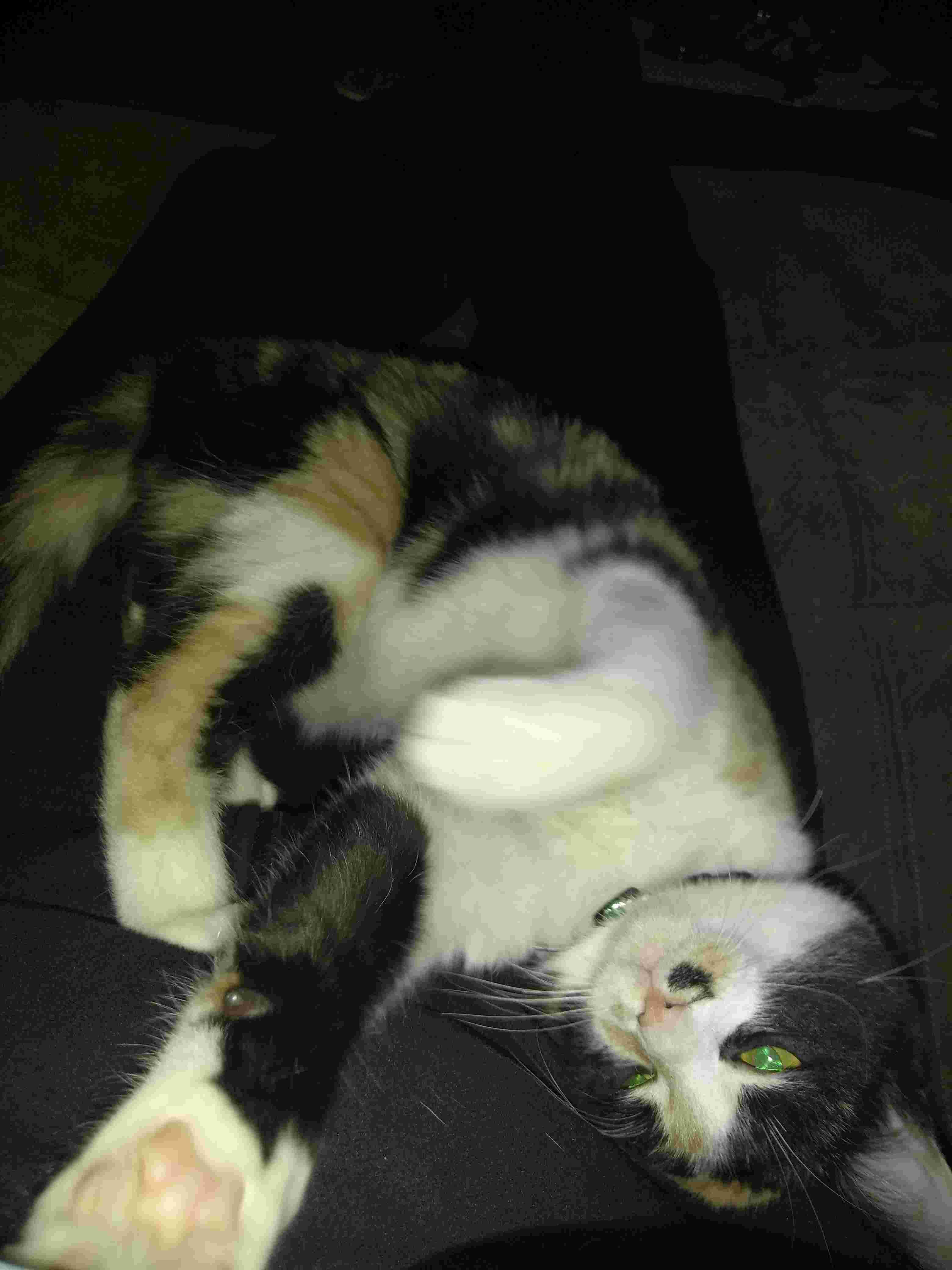 Question details sensitive content