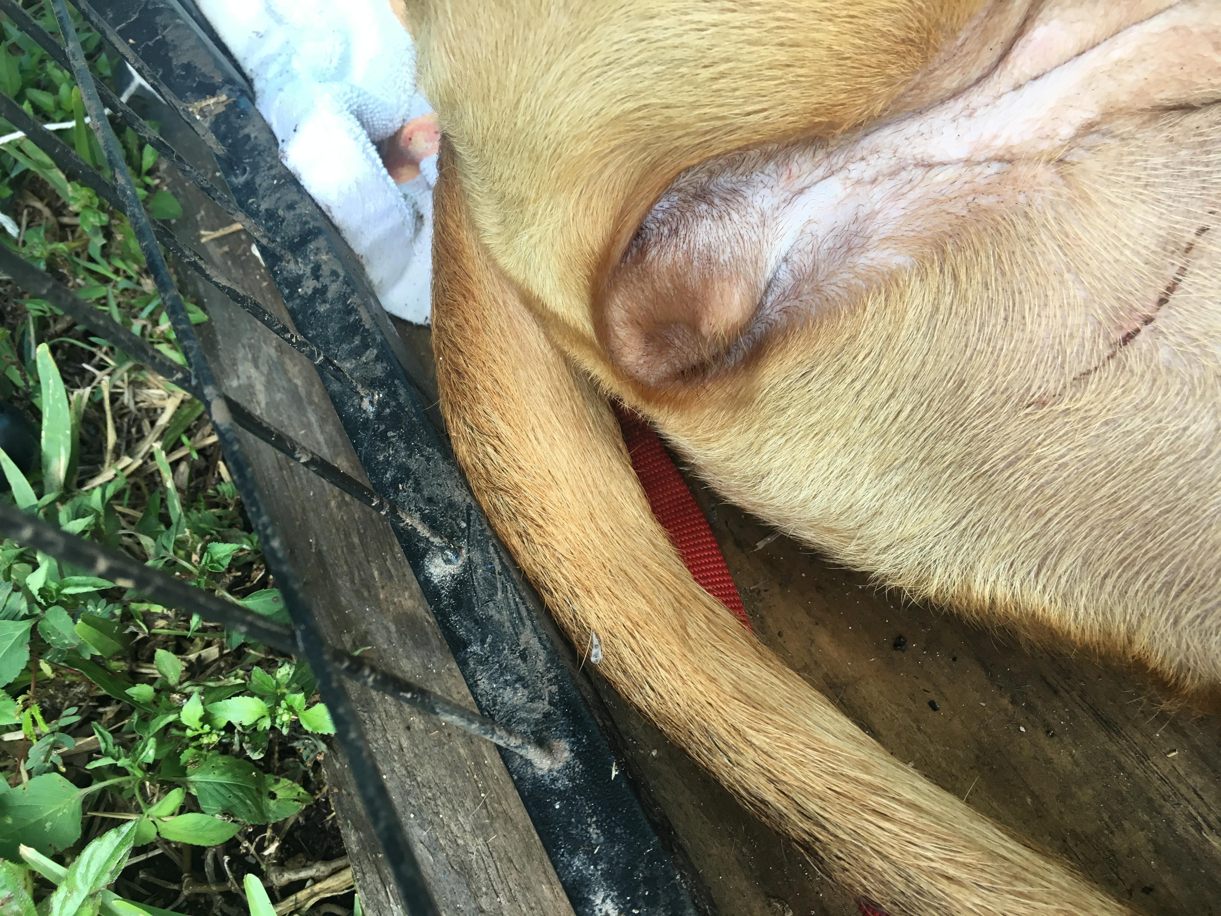 Question details sensitive content