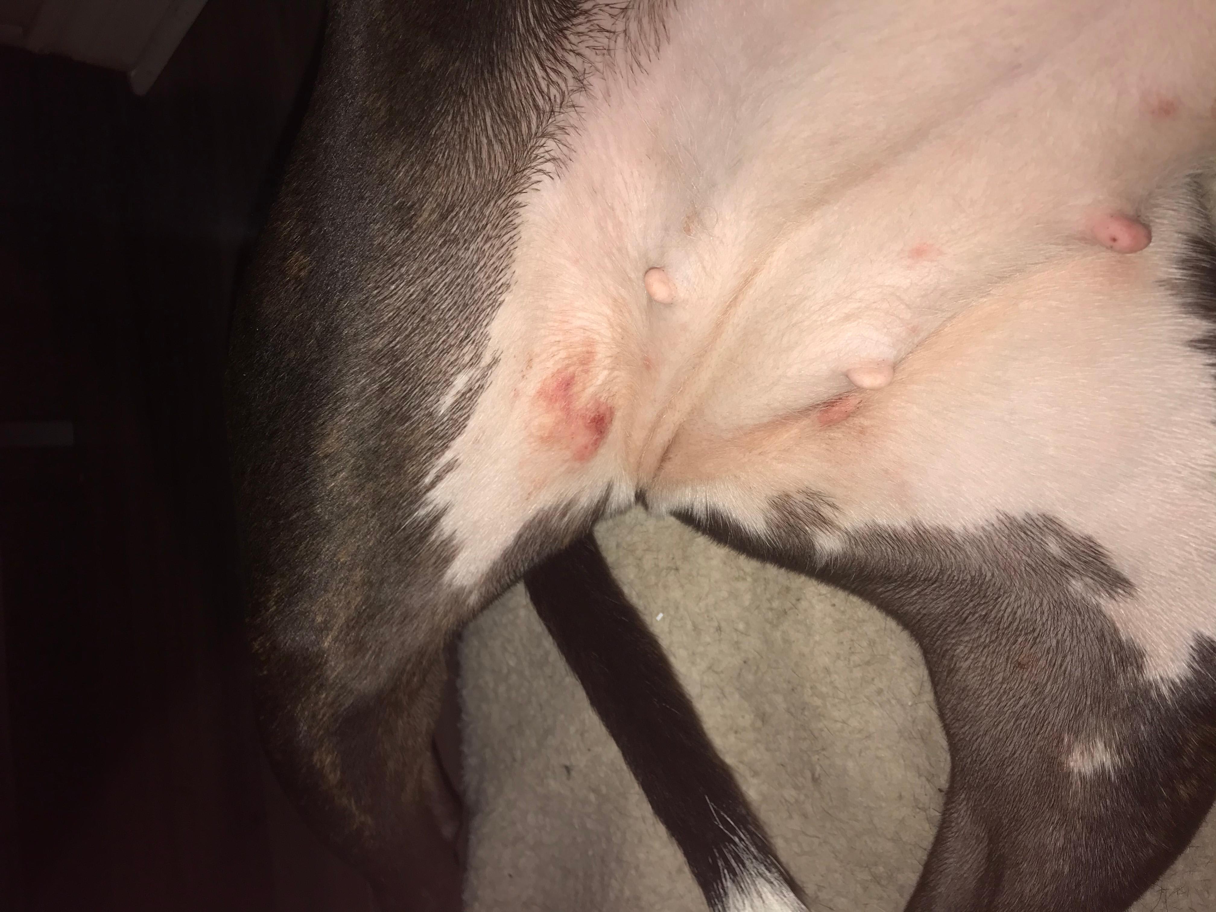 Question details sensitive content