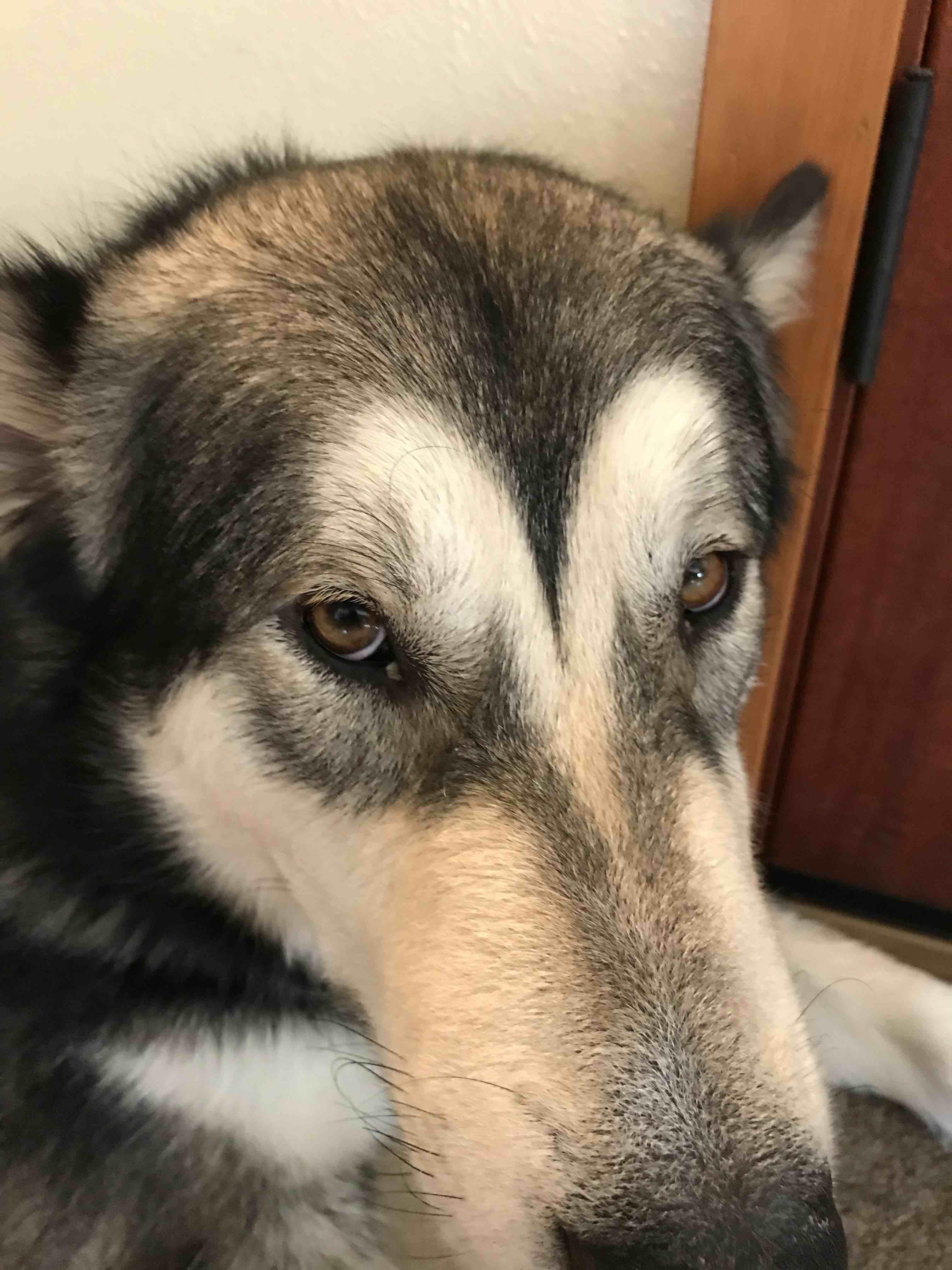 Question details sensitive content