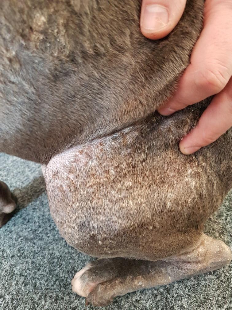 Question details sensitive content