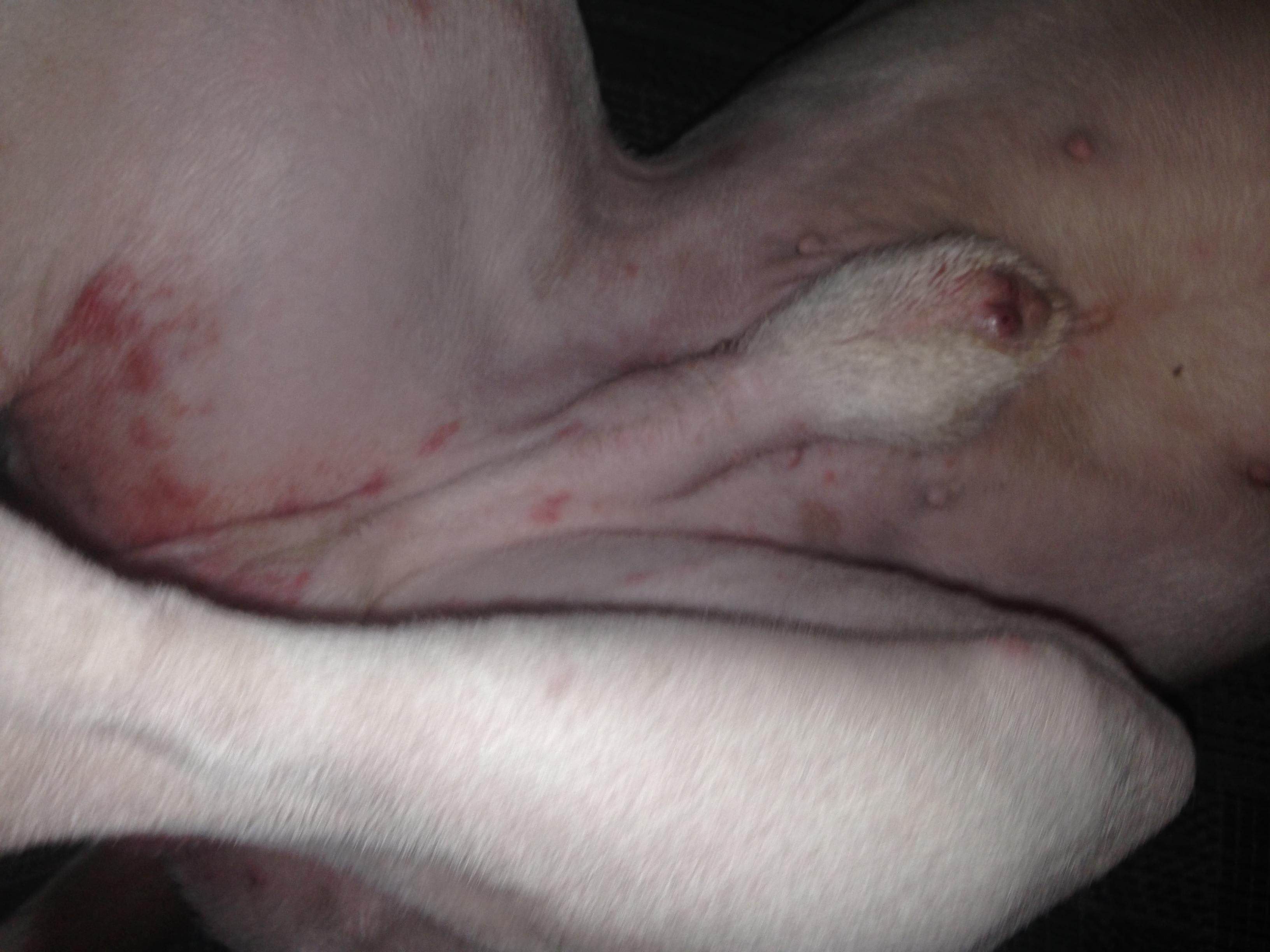 Question details sensitive content