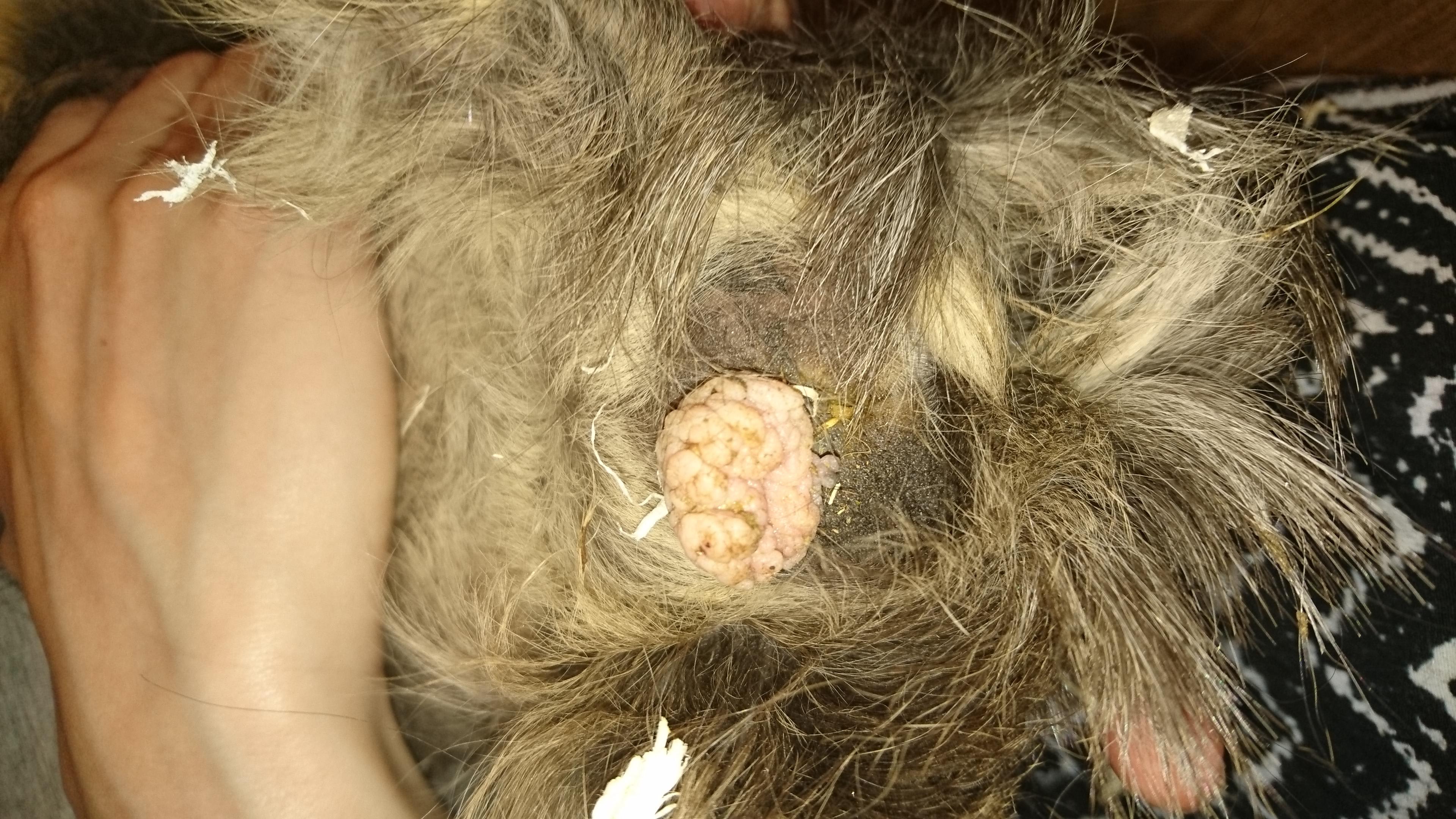 Question details sensitive content