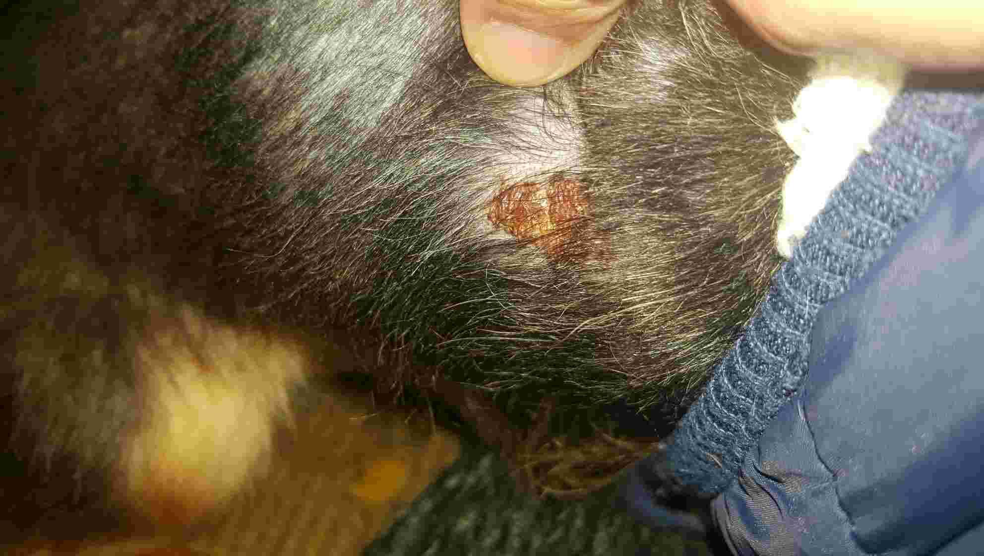 Question details sensitive content