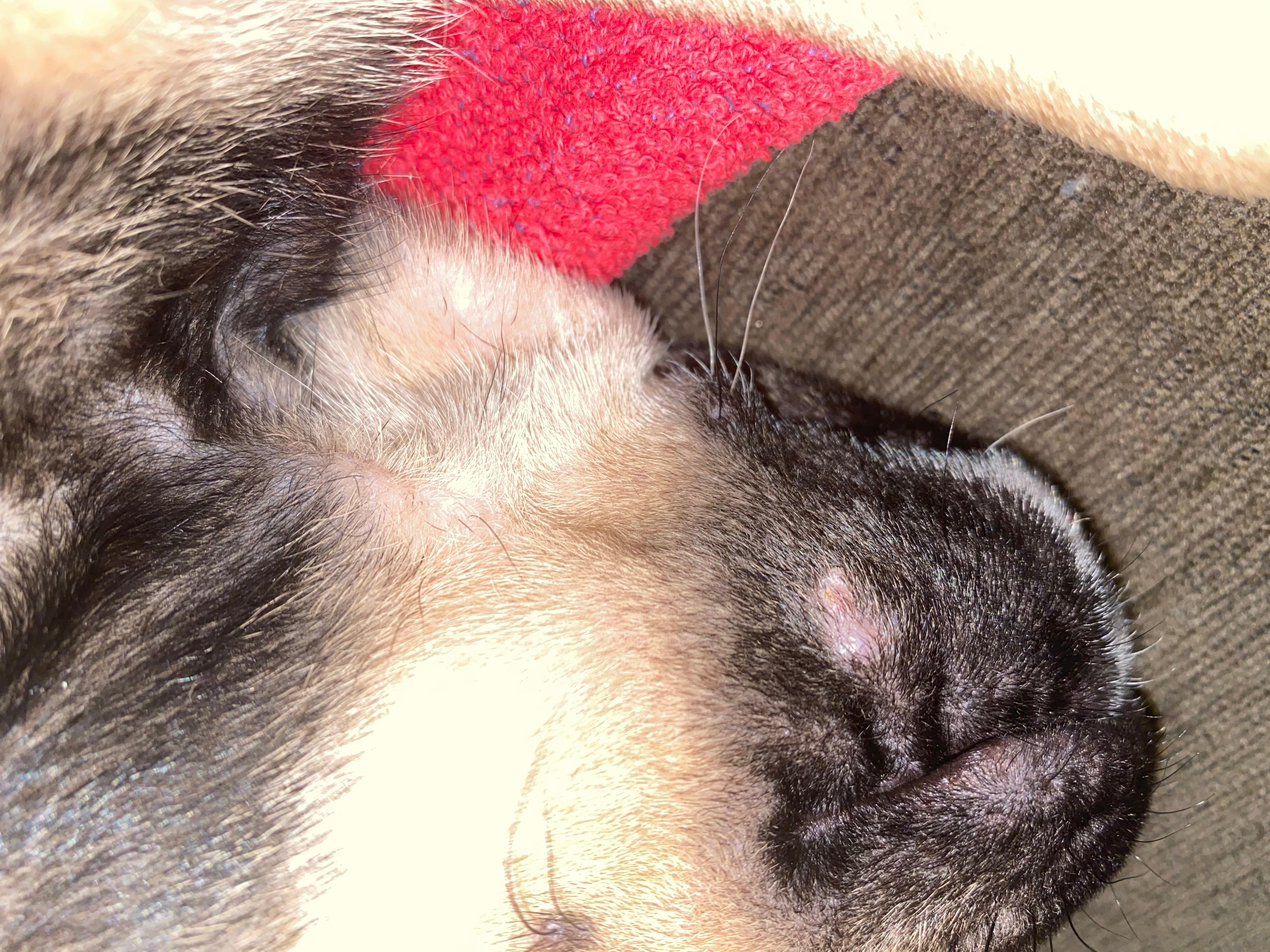 Question details sensitive content