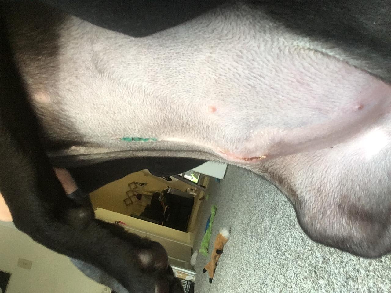 Question details sensitive content