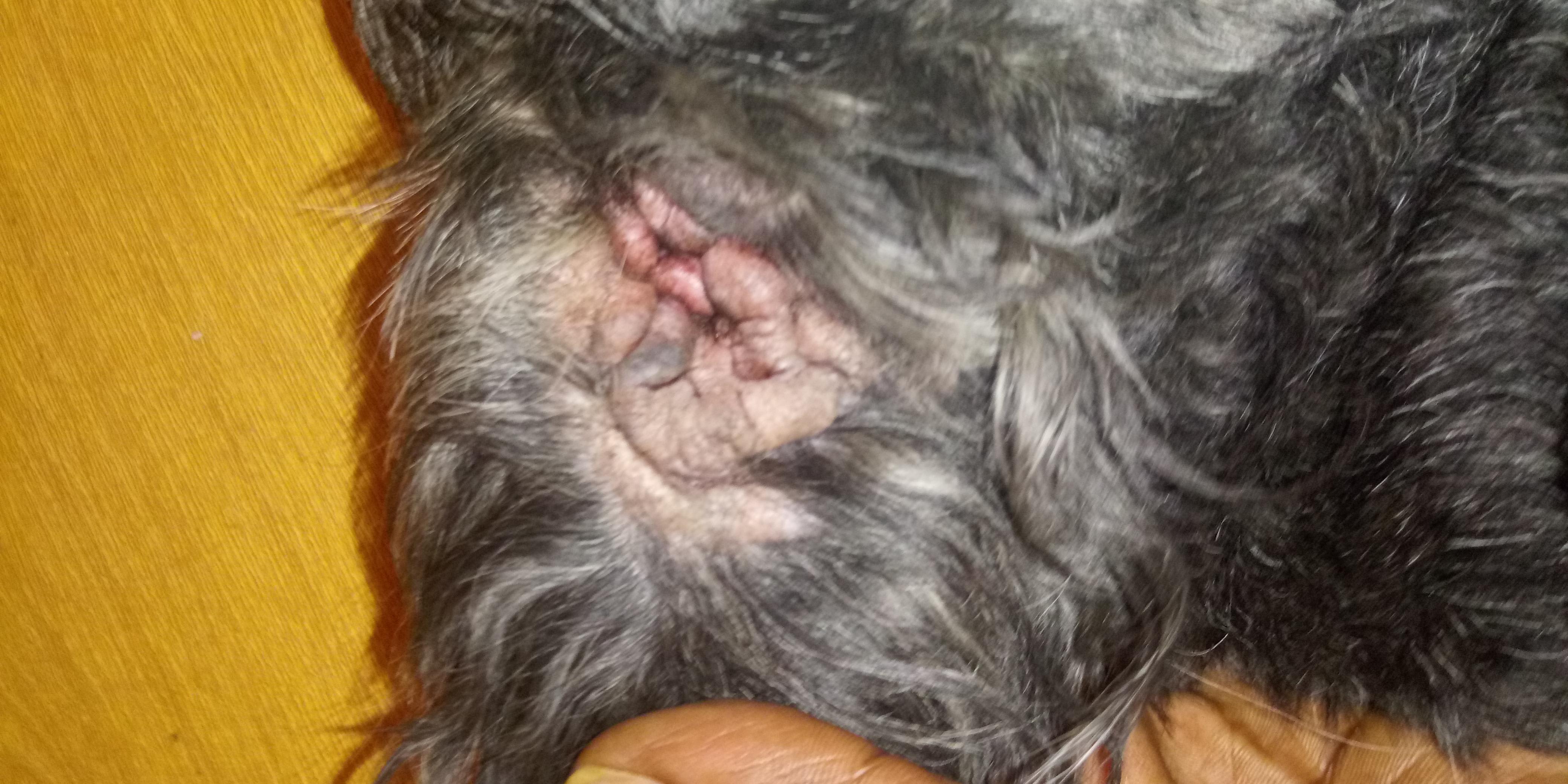 Question details sensitive content