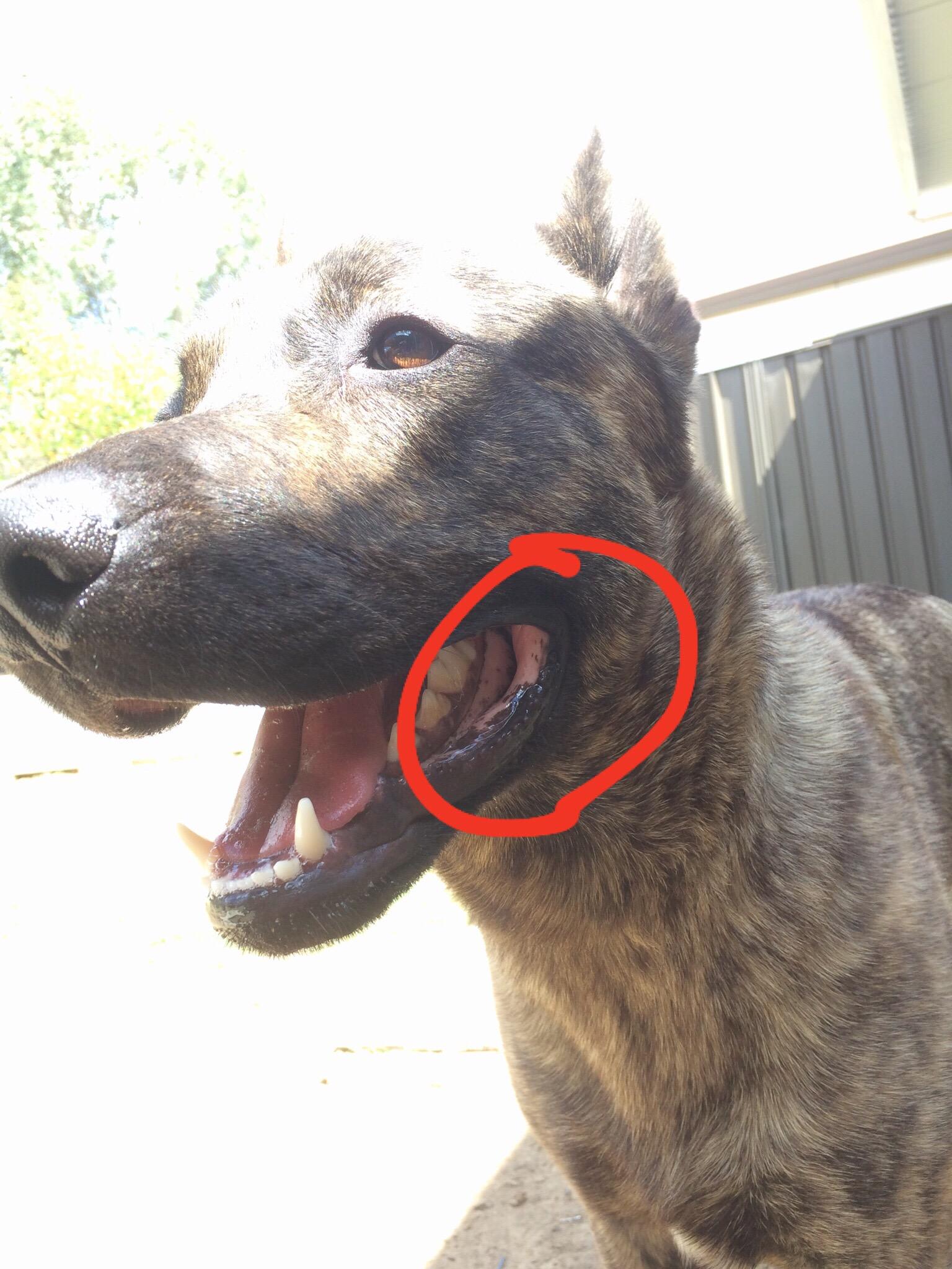 Question details sensitive content