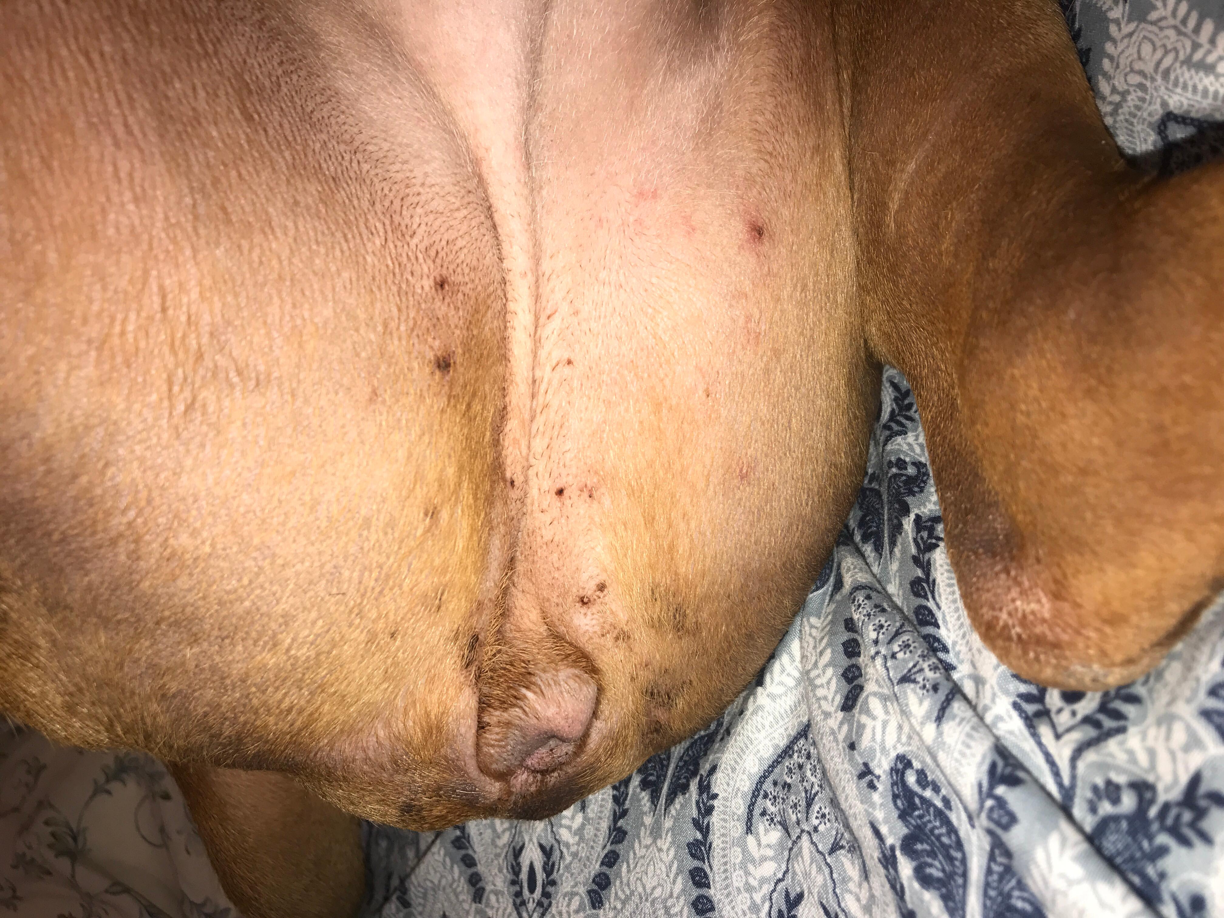 Question details sensitive content