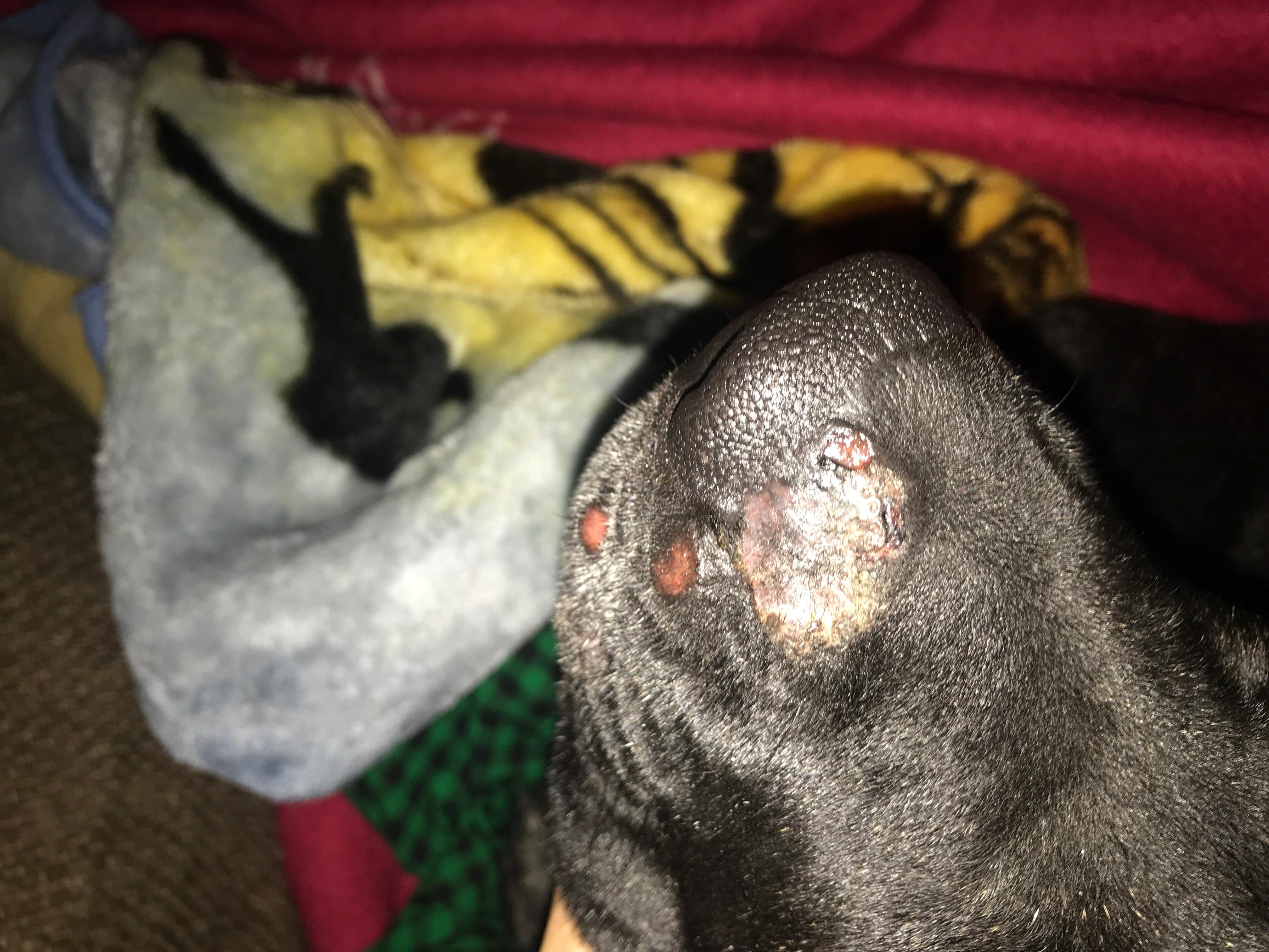 Question details sensitive content