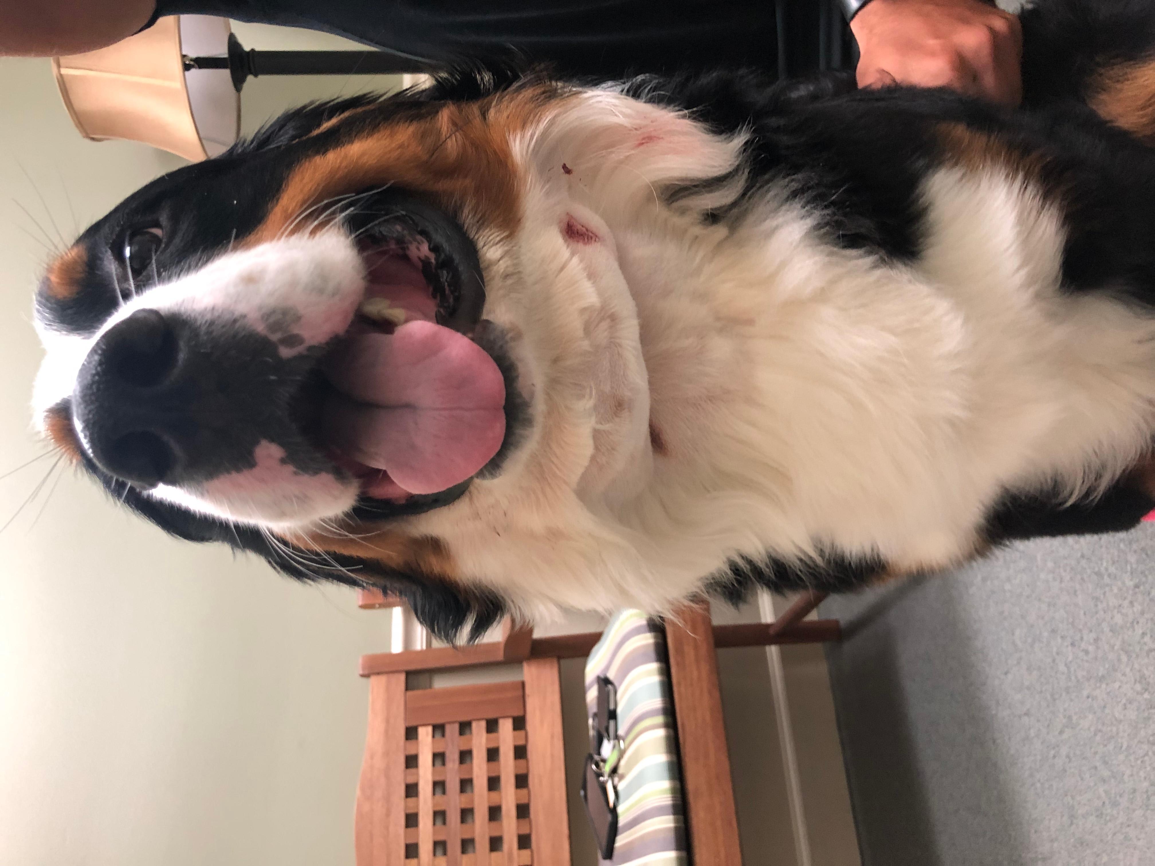 Question details sensitive content