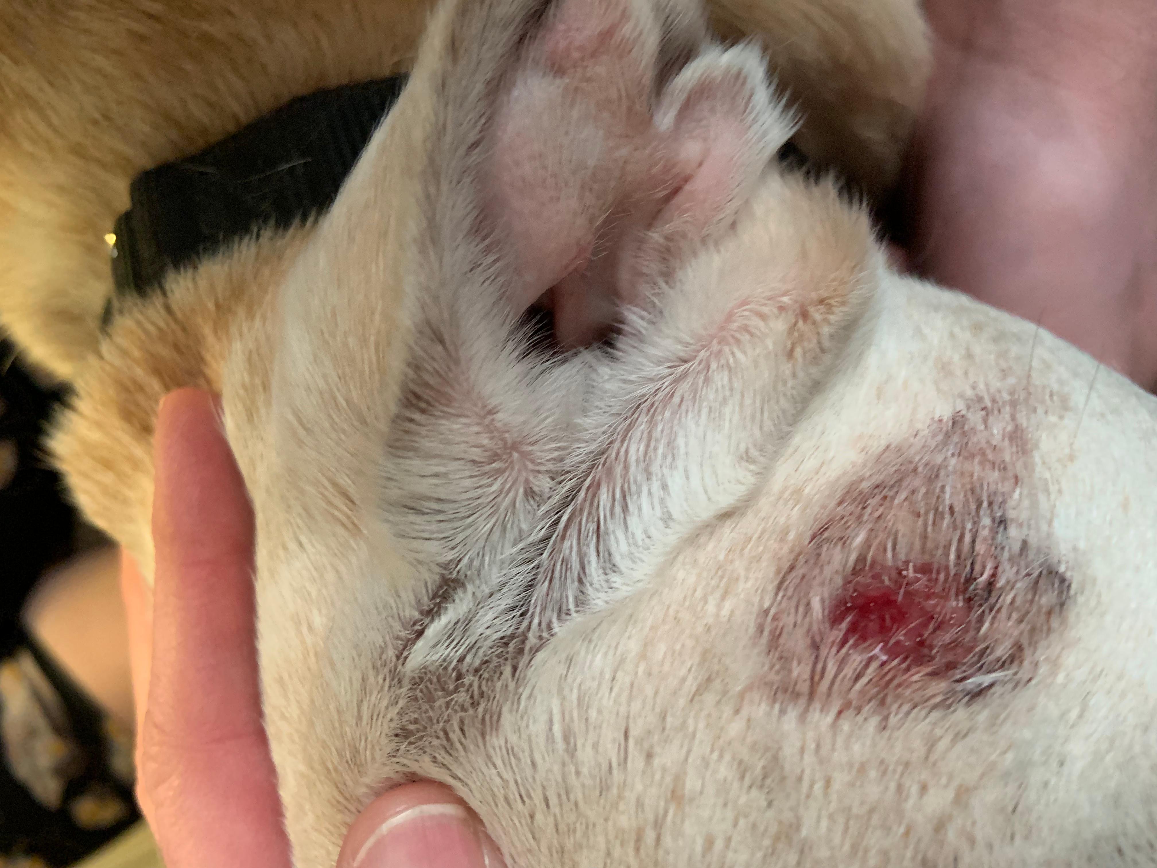 Question details sensitive content