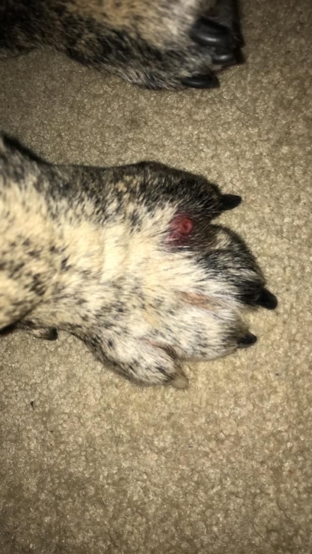 Question details sensitive content