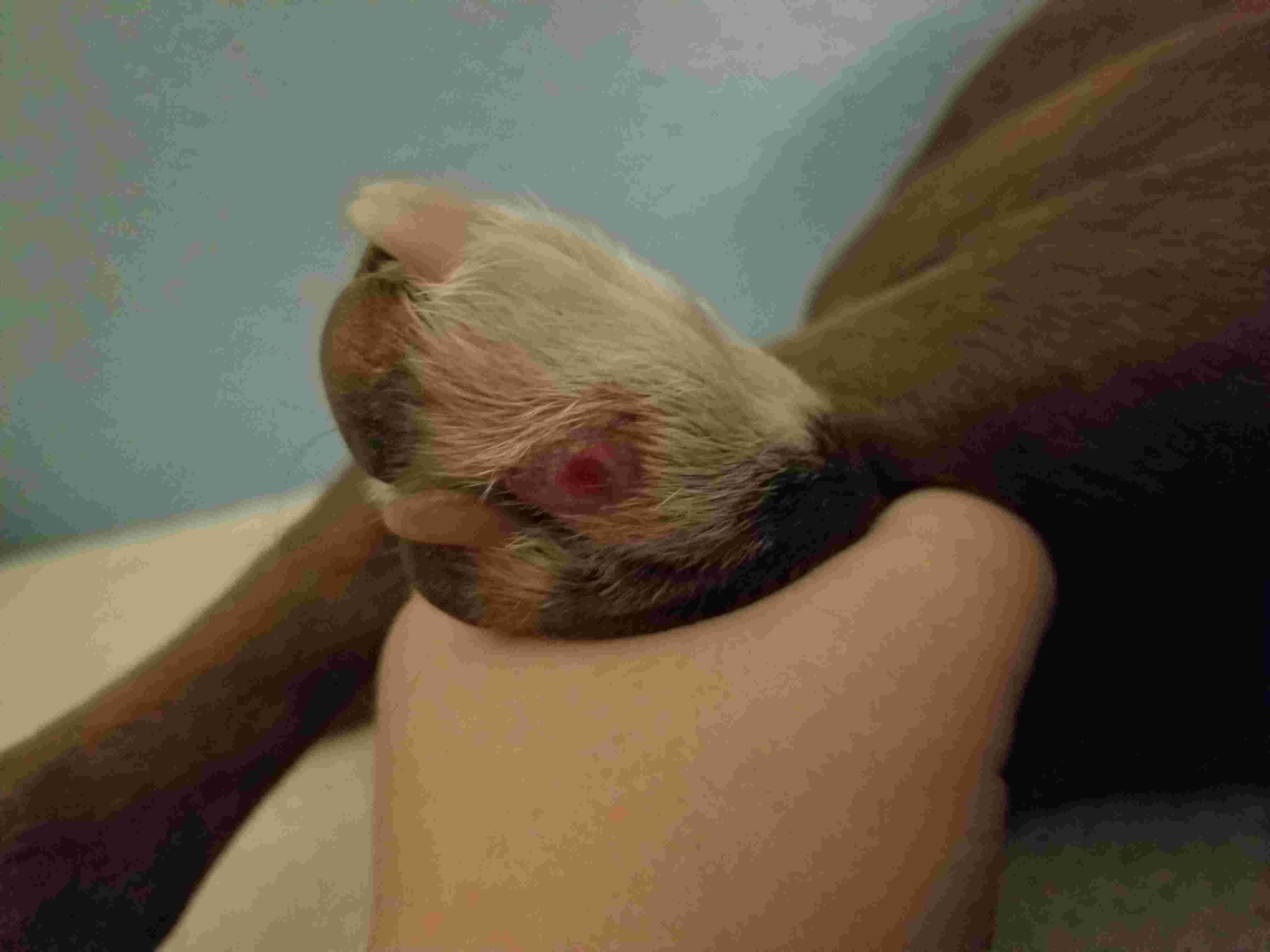 Question details sensitive content