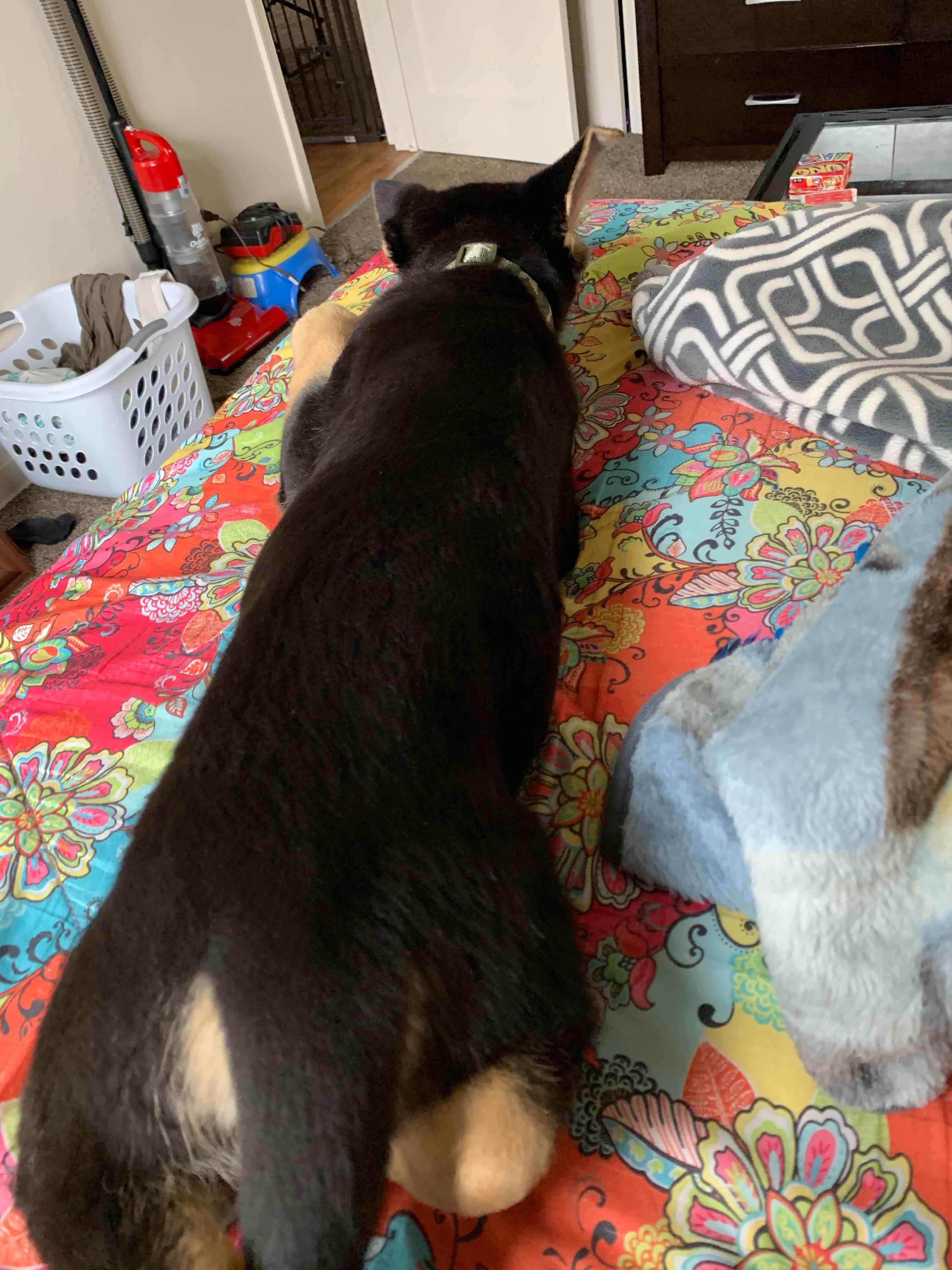 Question details sensitive content