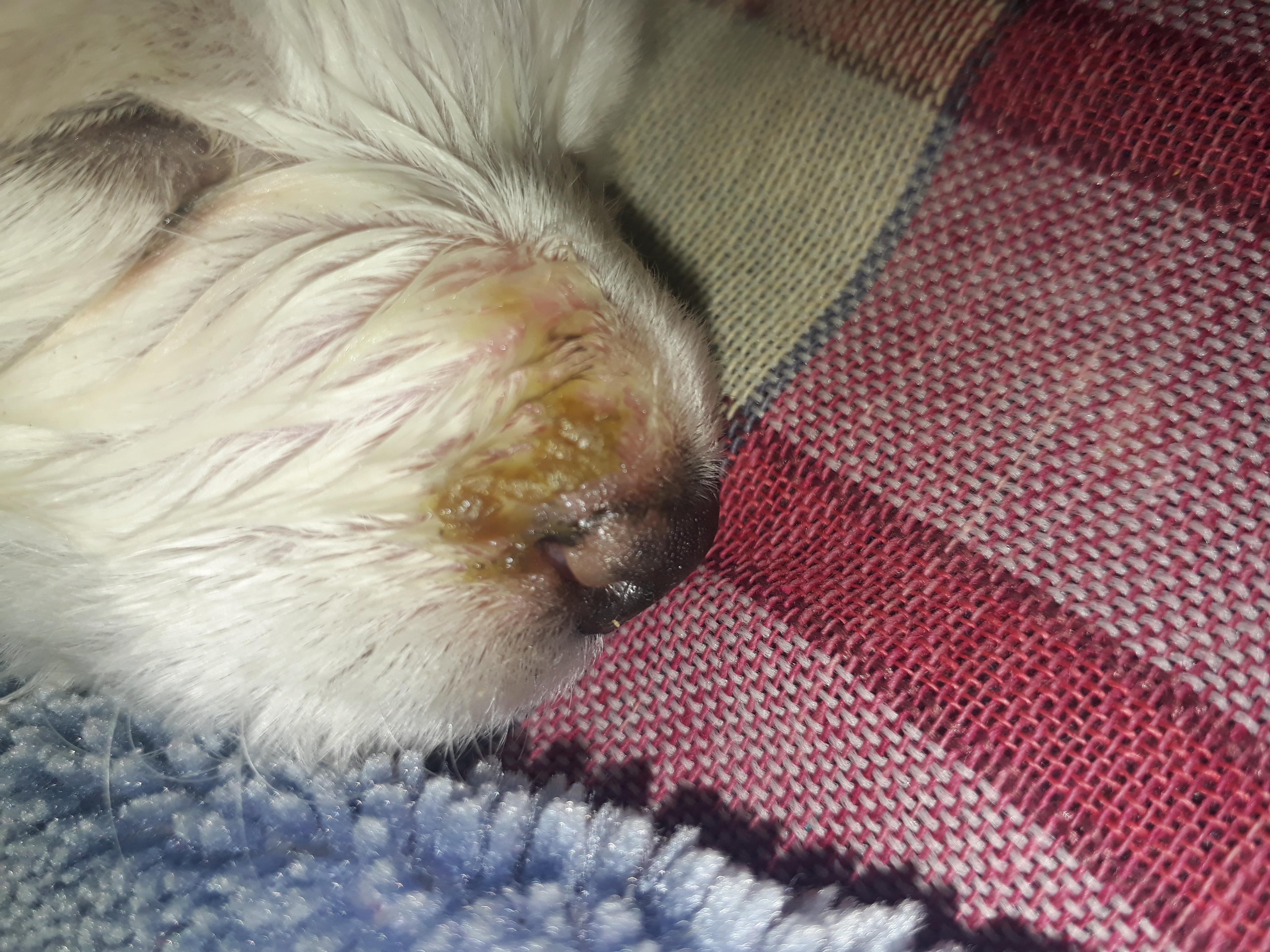 Question details sensitive content