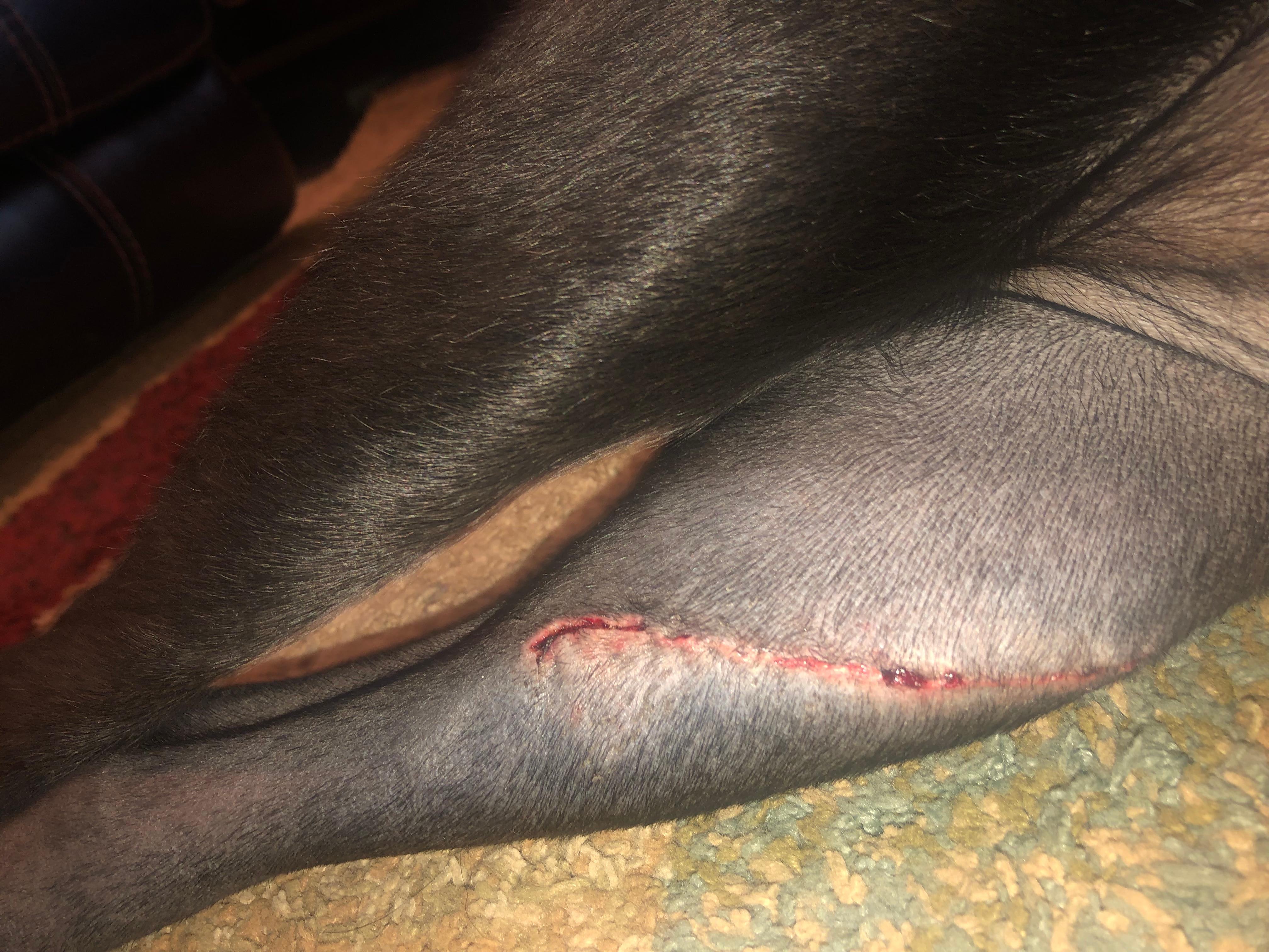 Question details sensitive content