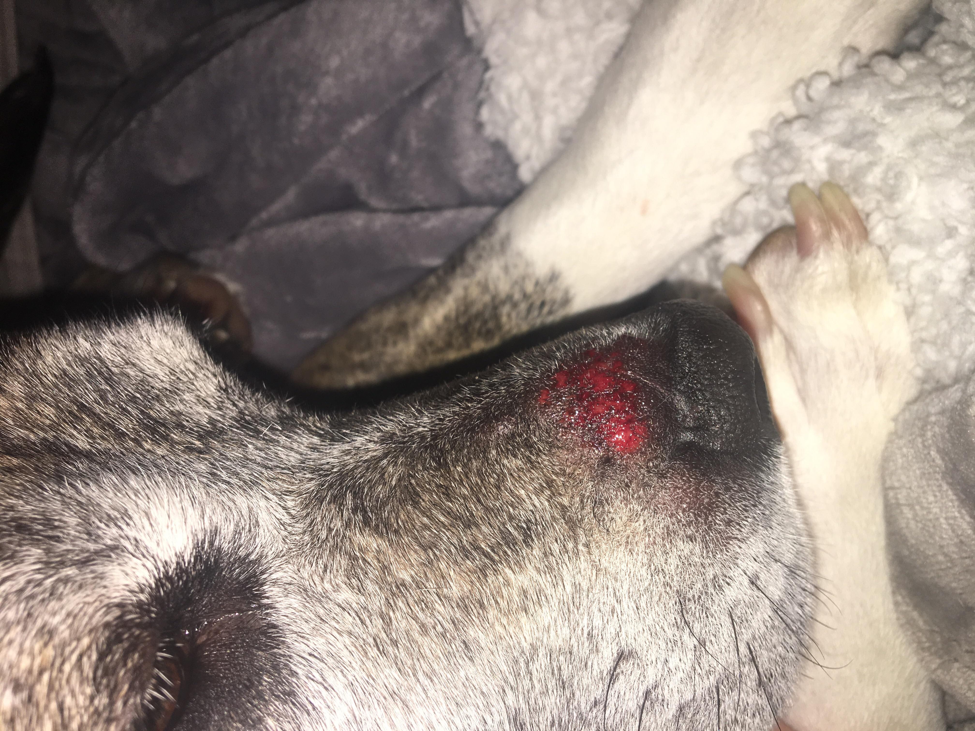 Question details sensitive content