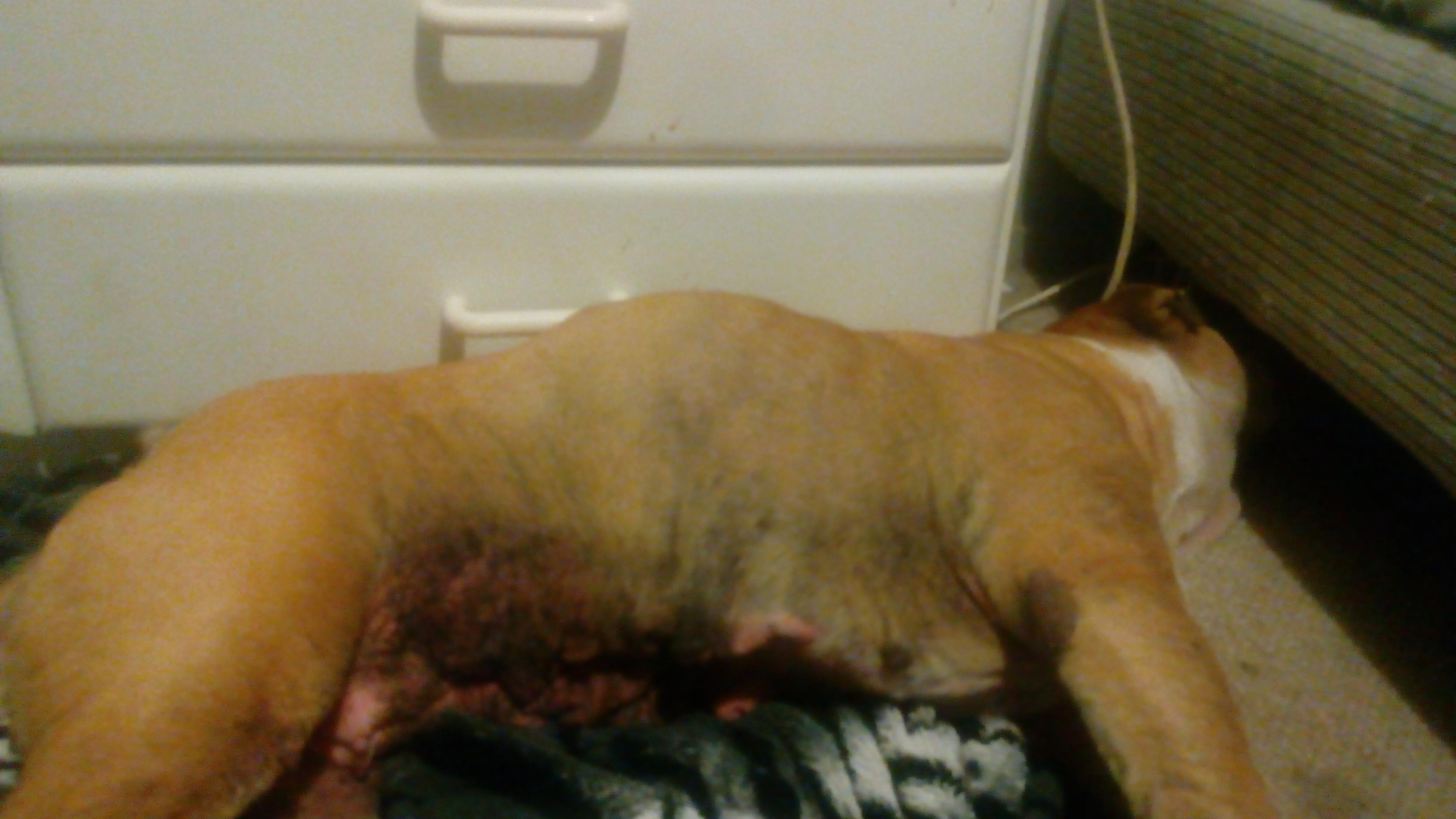 Question details sensitive content