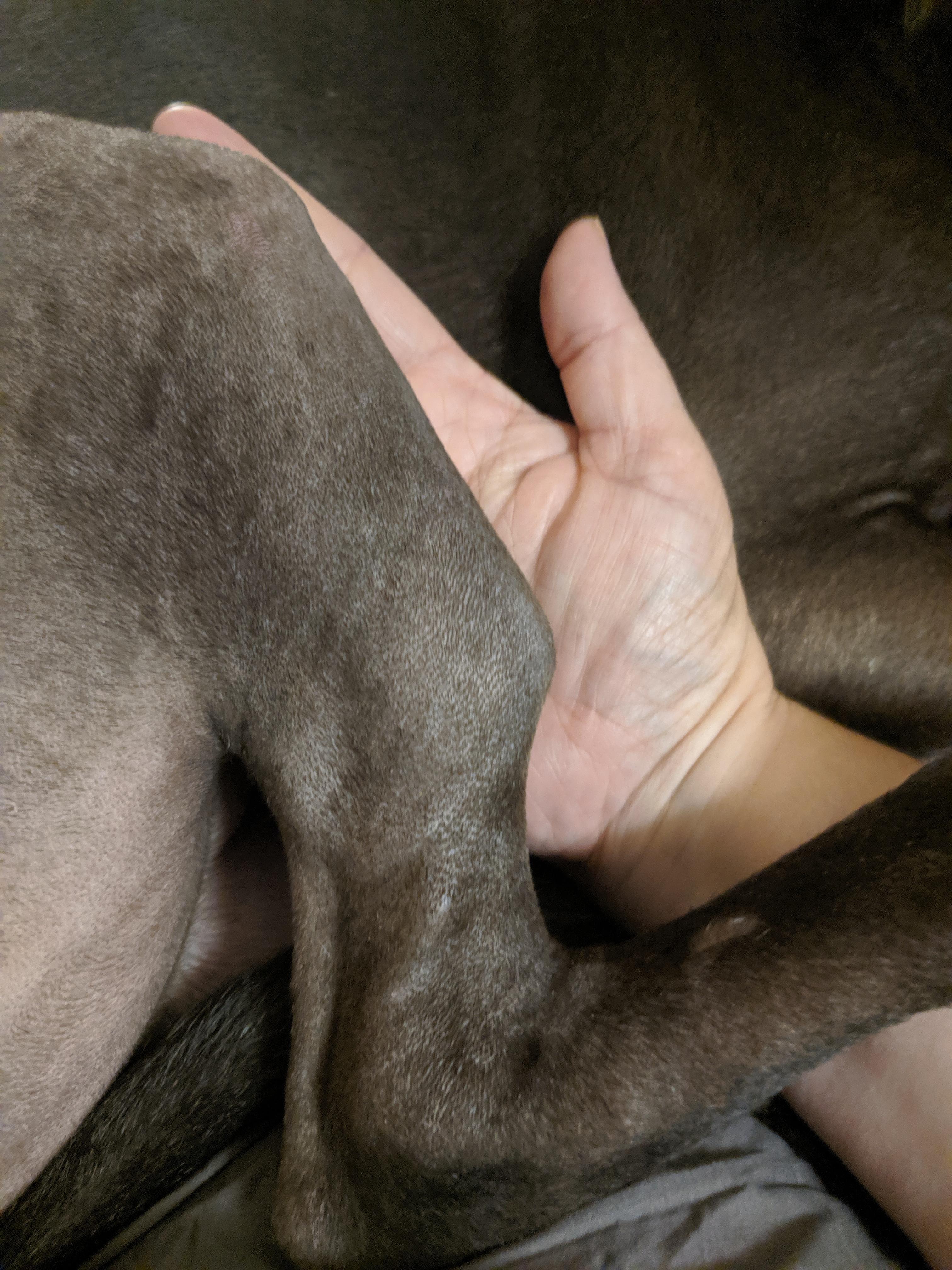 Question details sensitive content