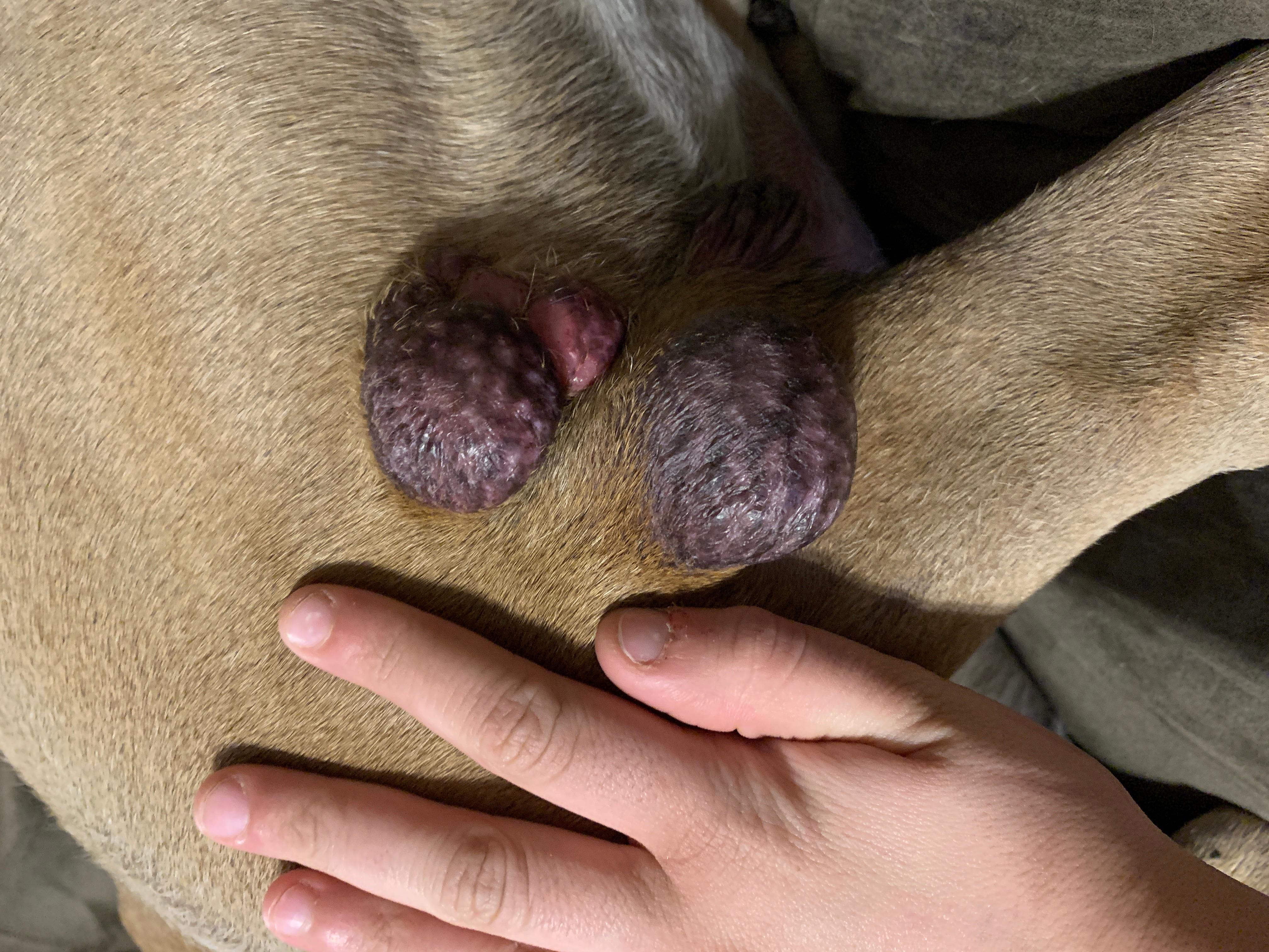 Question details sensitive content