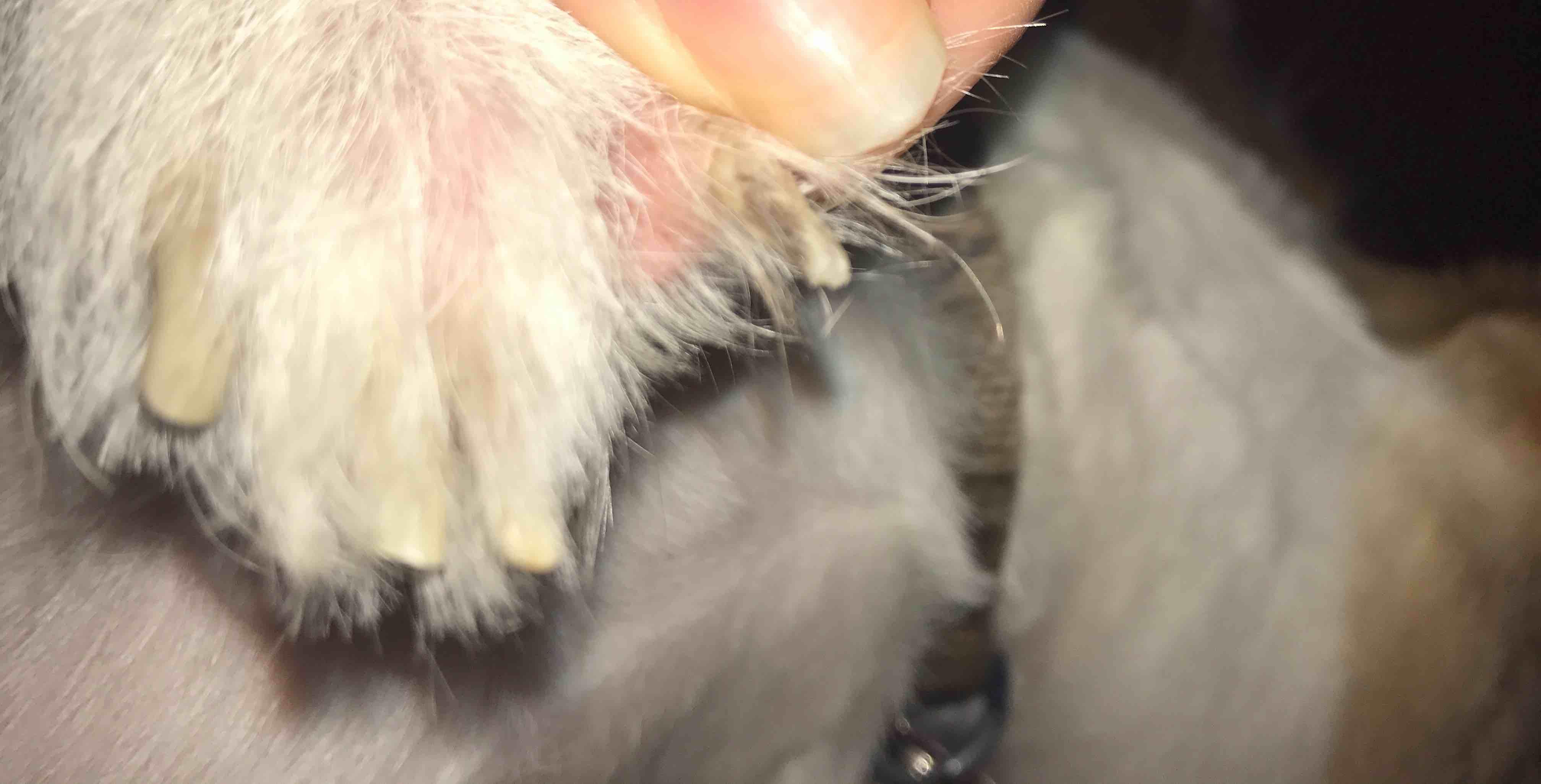 Question details sensitive content