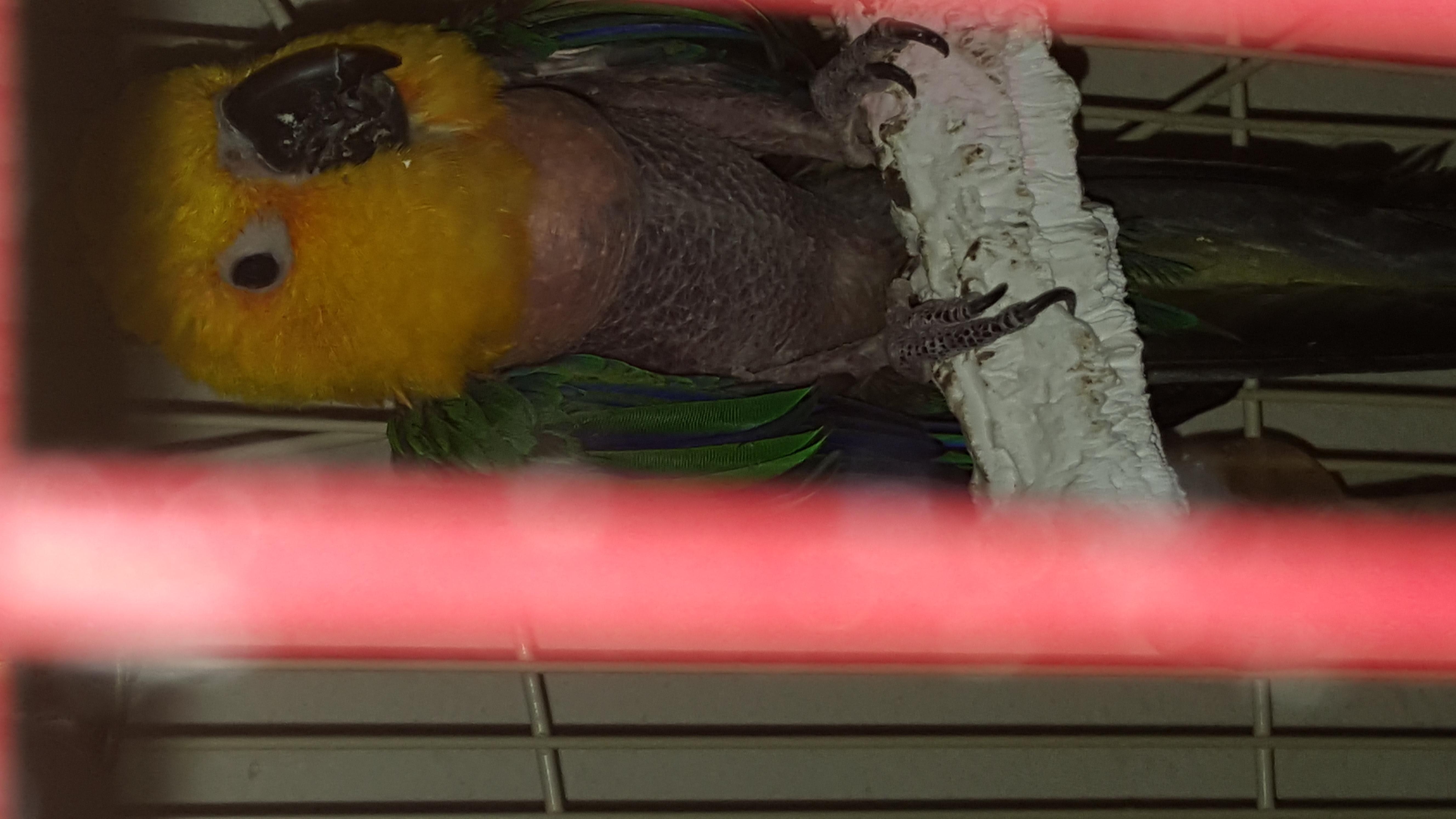 Question details sensitive content