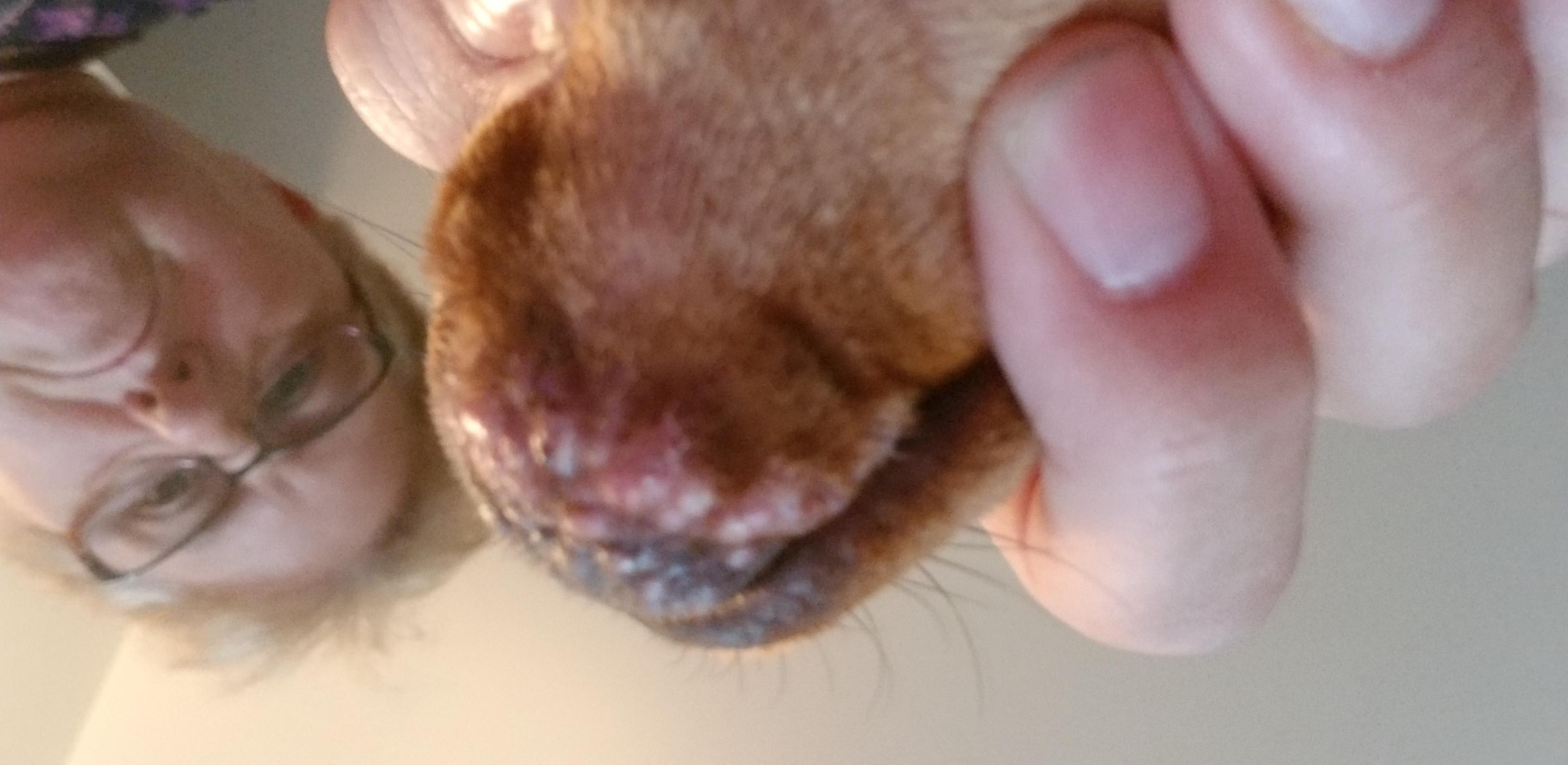 Question details sensitive content