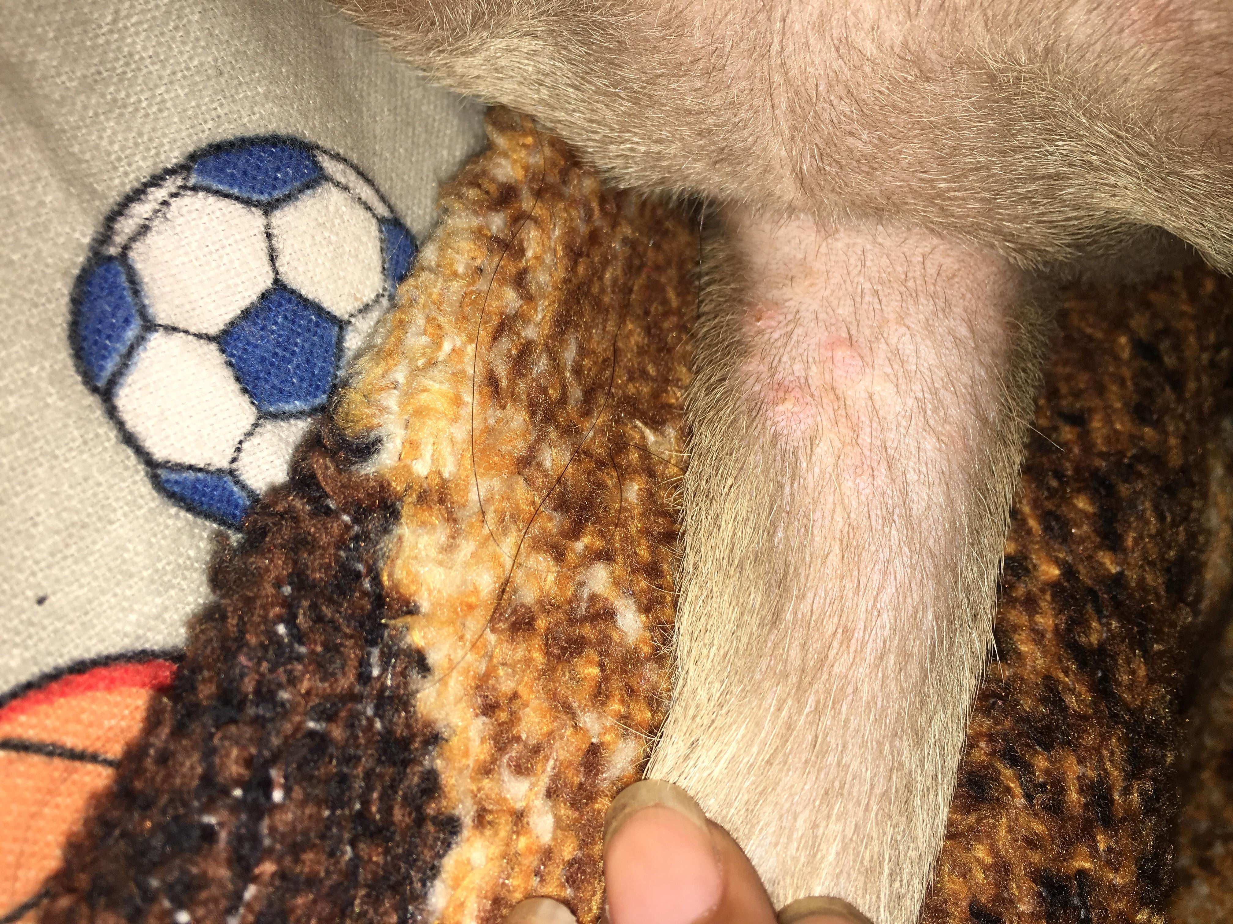 Question details sensitive content