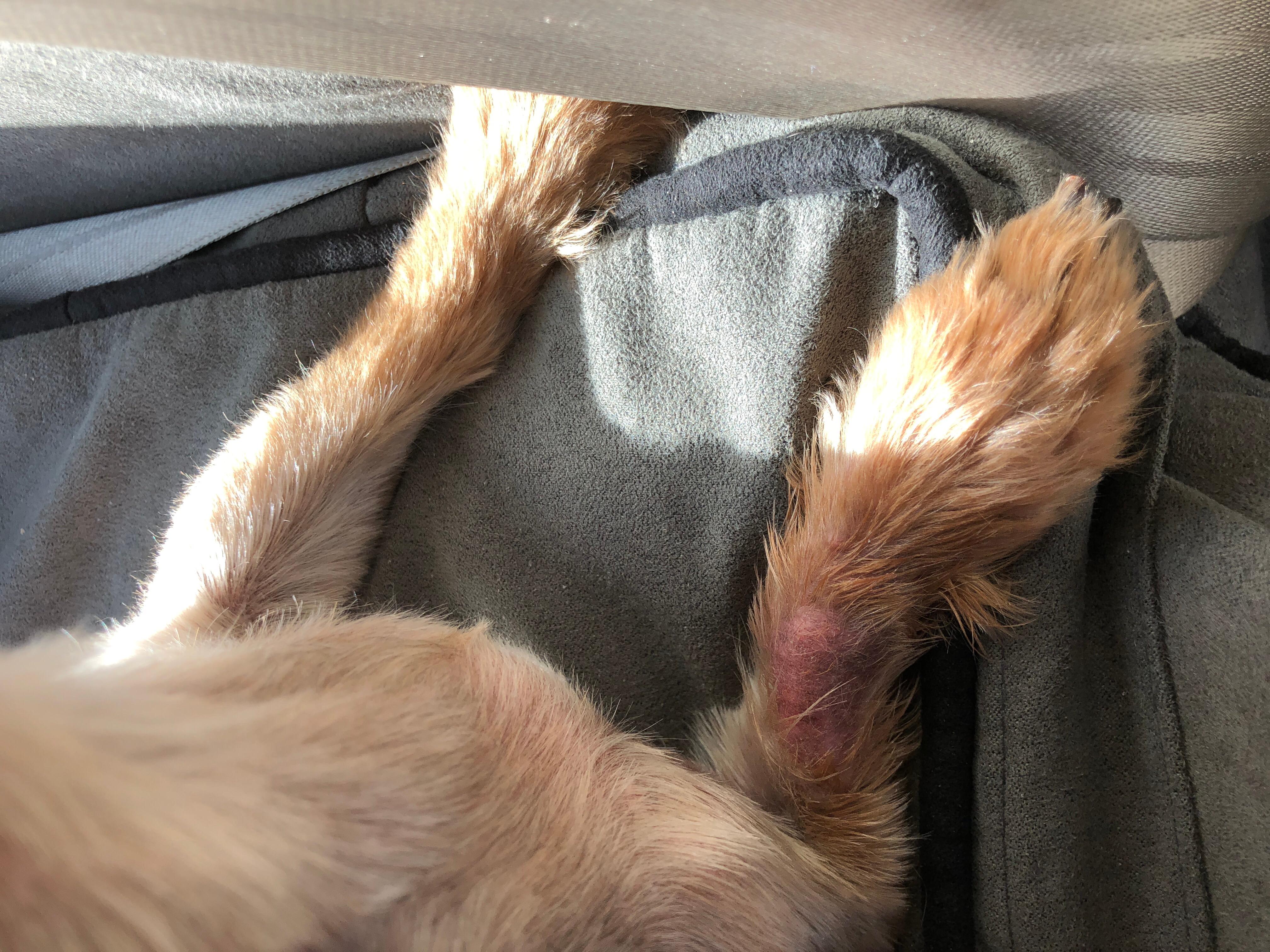 Question details sensitive content