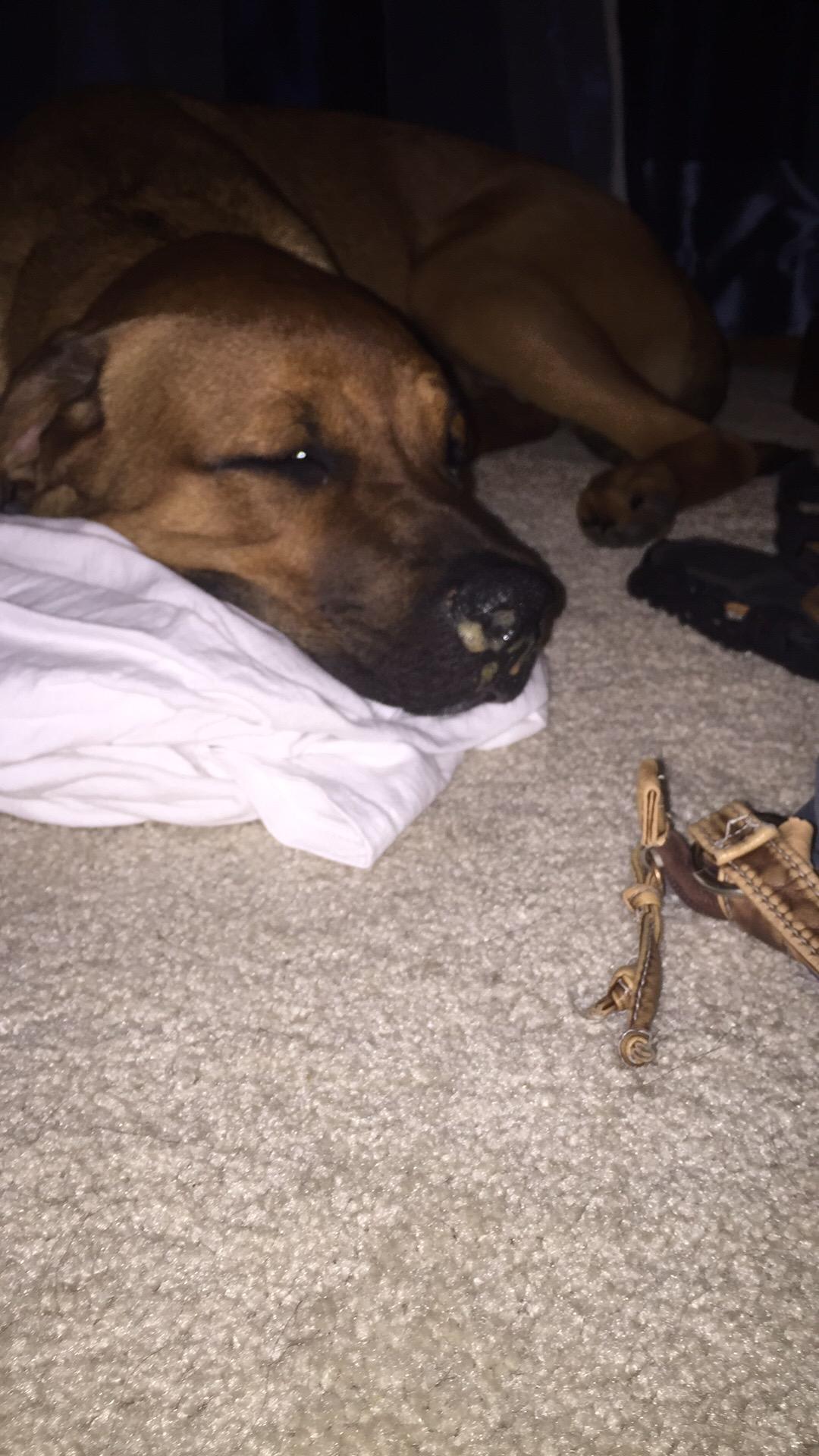 Question details sensitive content