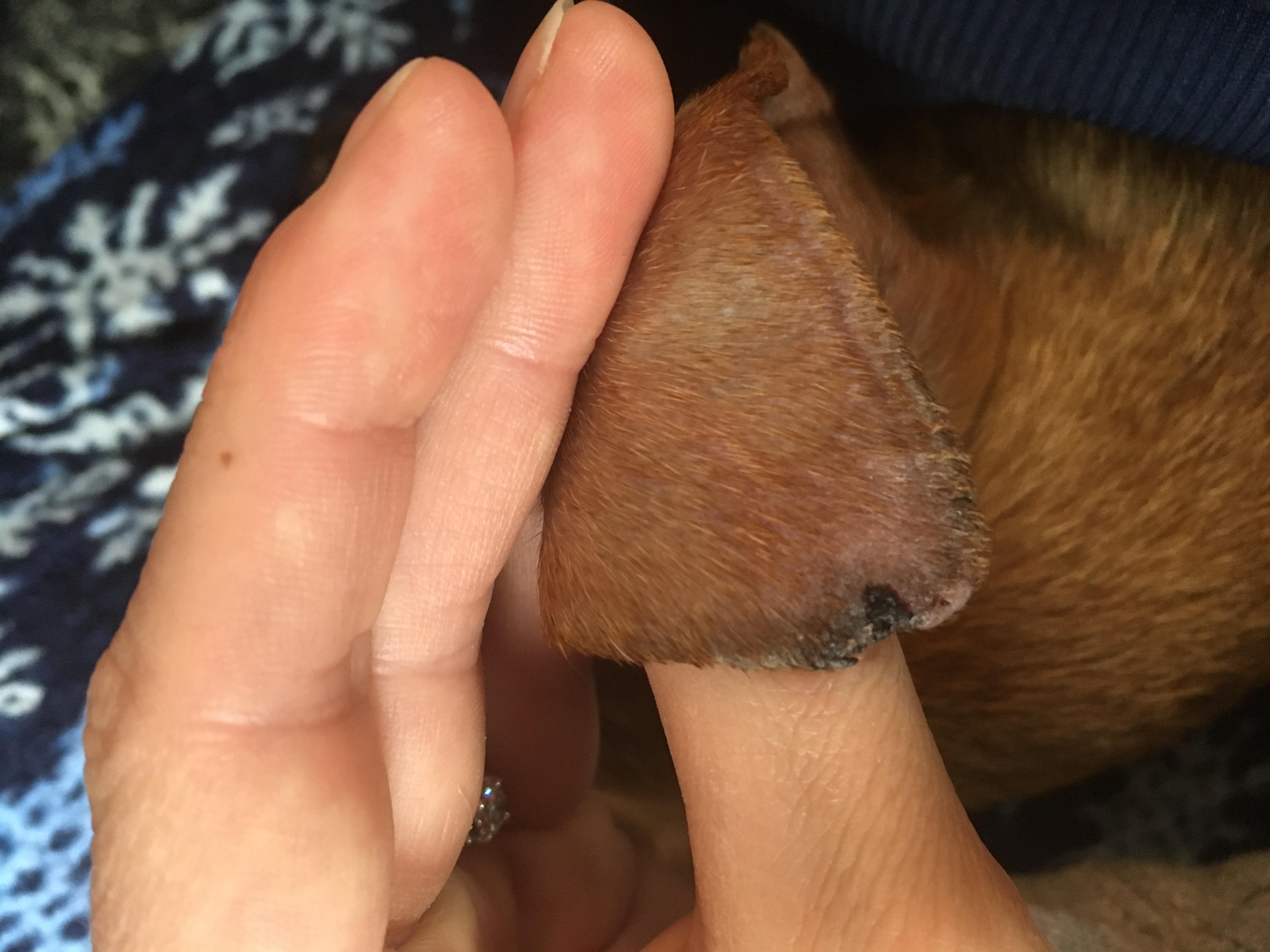 Question details sensitive content